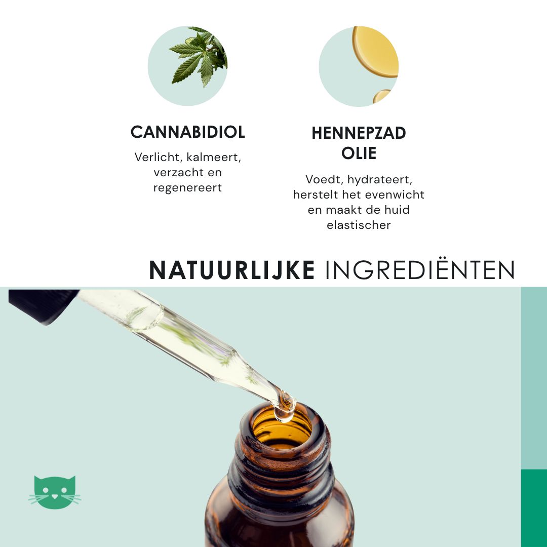 Flacon compte-gouttes d'huile de CBD. Contient du cannabidiol et de l'huile de graines de chanvre. Ingrédients naturels.