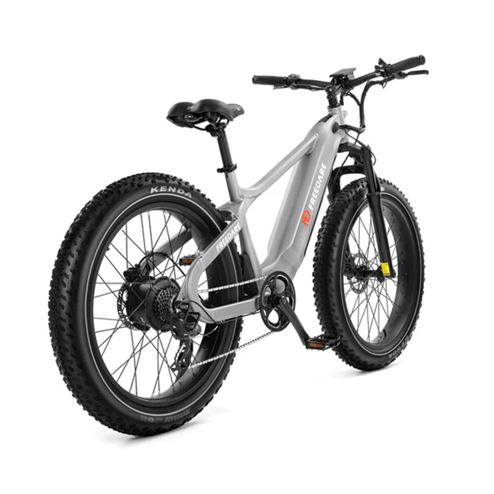 Vélo électrique gris avec pneus noirs. Le vélo porte le logo FREEDARE et le lettrage KENDA. Vue arrière.