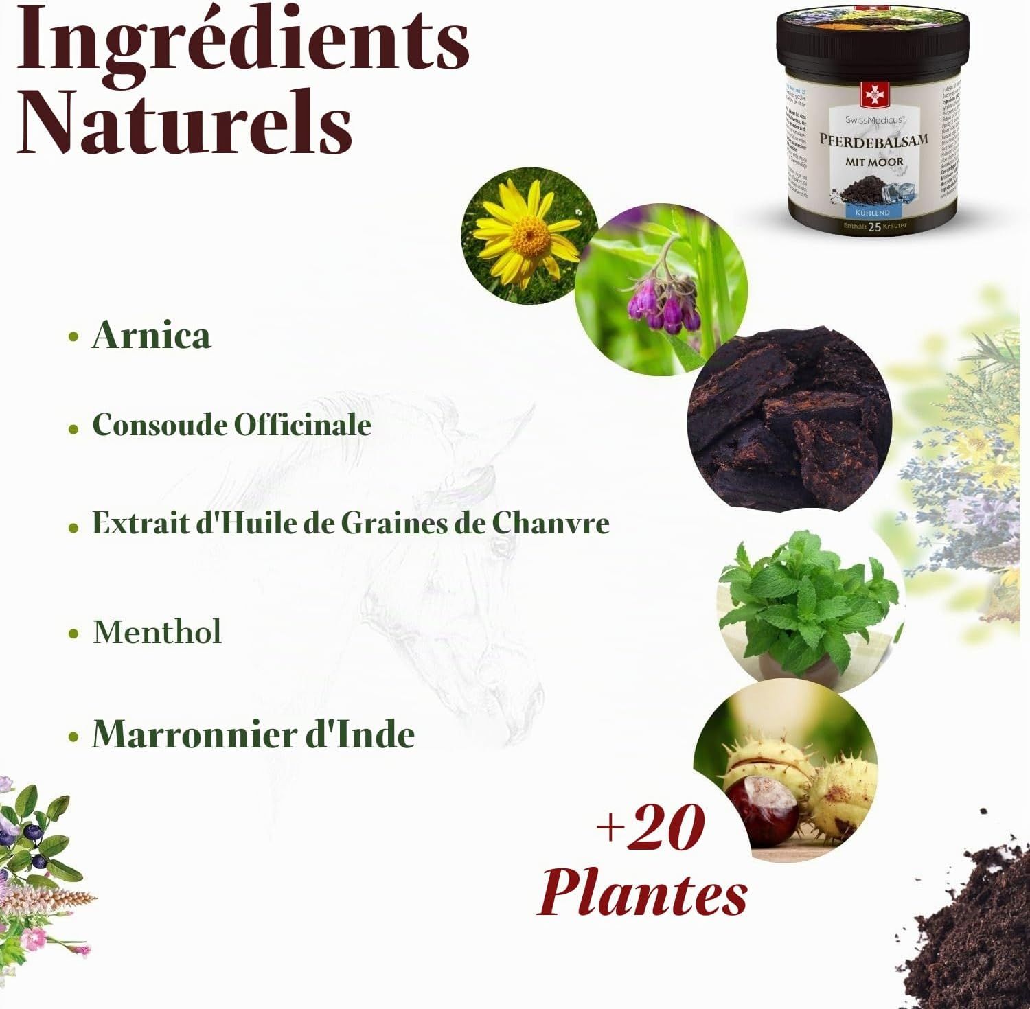 Un pot de baume étiqueté 'PFERDEBALSAM mit Moor'. Des images d'arnica, de consoude, de graines de chanvre, de menthol et de marronnier d'Inde l'accompagnent.