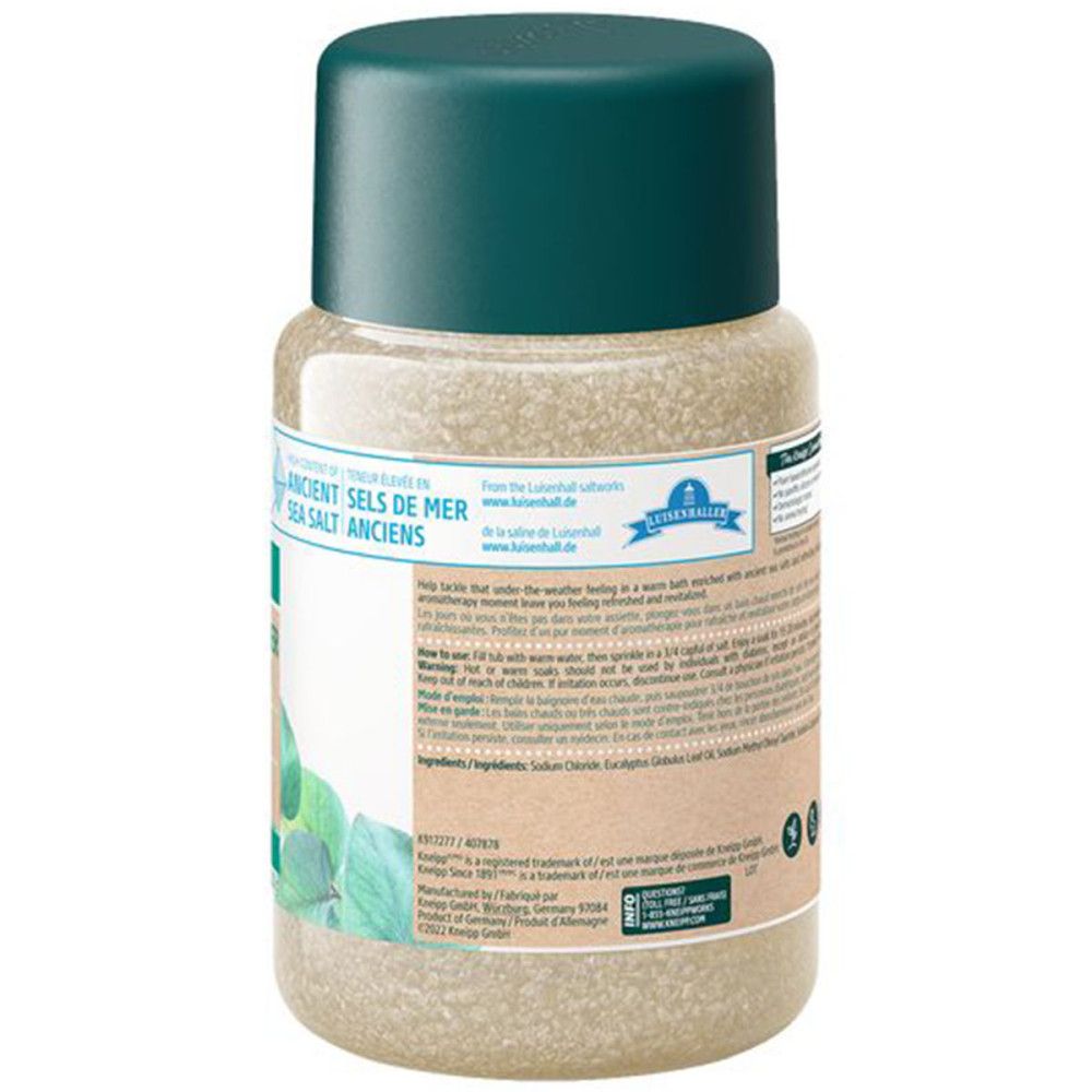 Dos du pot de sel de bain. Étiquette avec informations sur le produit, ingrédients et logo Kneipp. Couvercle vert.