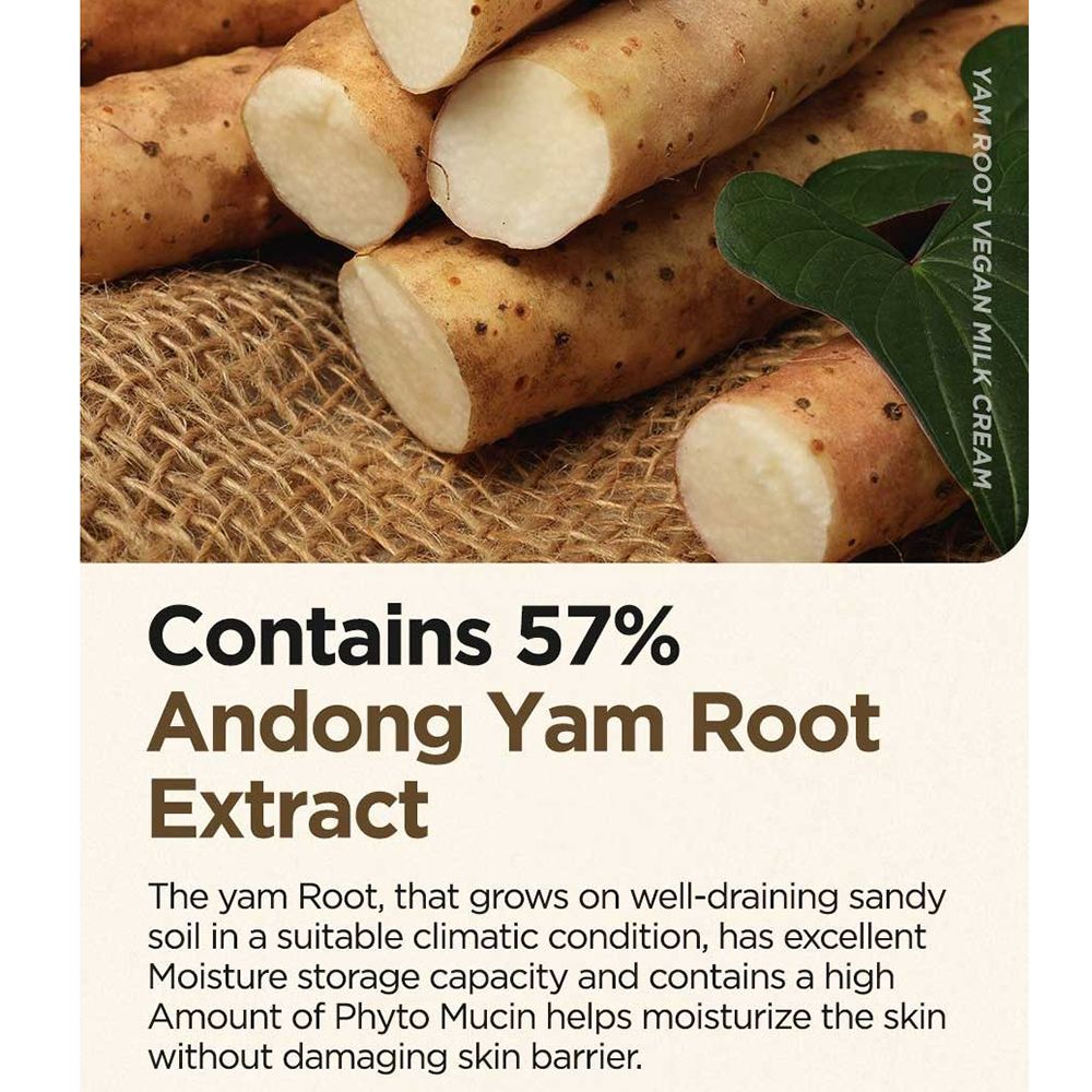 Texte: Contient 57% d'extrait de racine d'igname Andong. Description de l'igname et de ses propriétés.