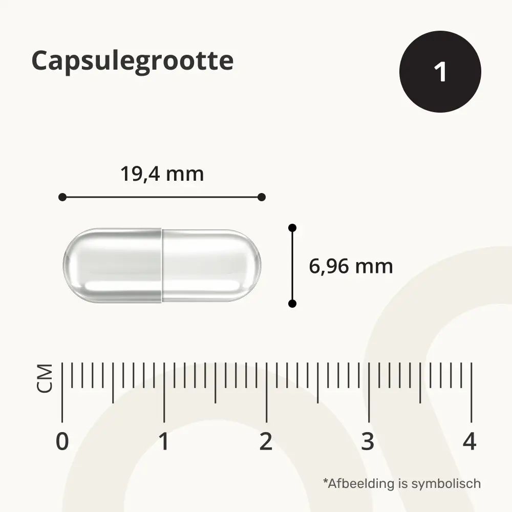 Capsule met afmetingen: 19,4 mm lang, 6,96 mm diameter. Schaal in mm.