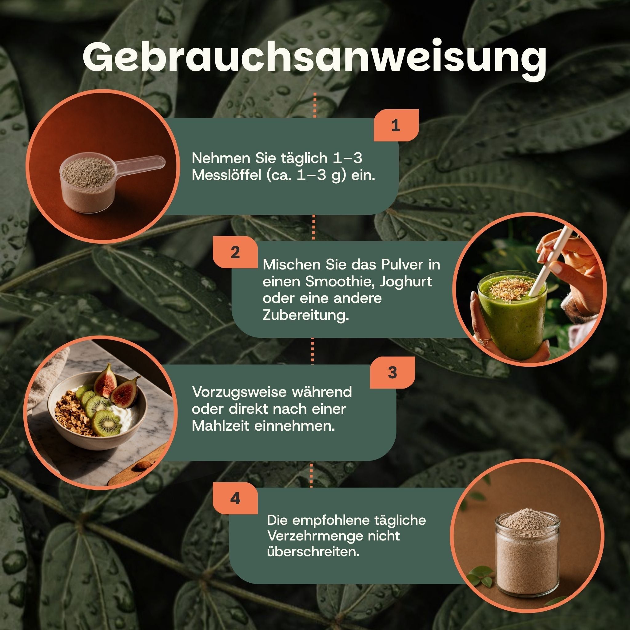 Gebruiksaanwijzing voor Chaga-poeder: dosering, mengen in smoothie/yoghurt, innamemoment en consumptiehoeveelheid.