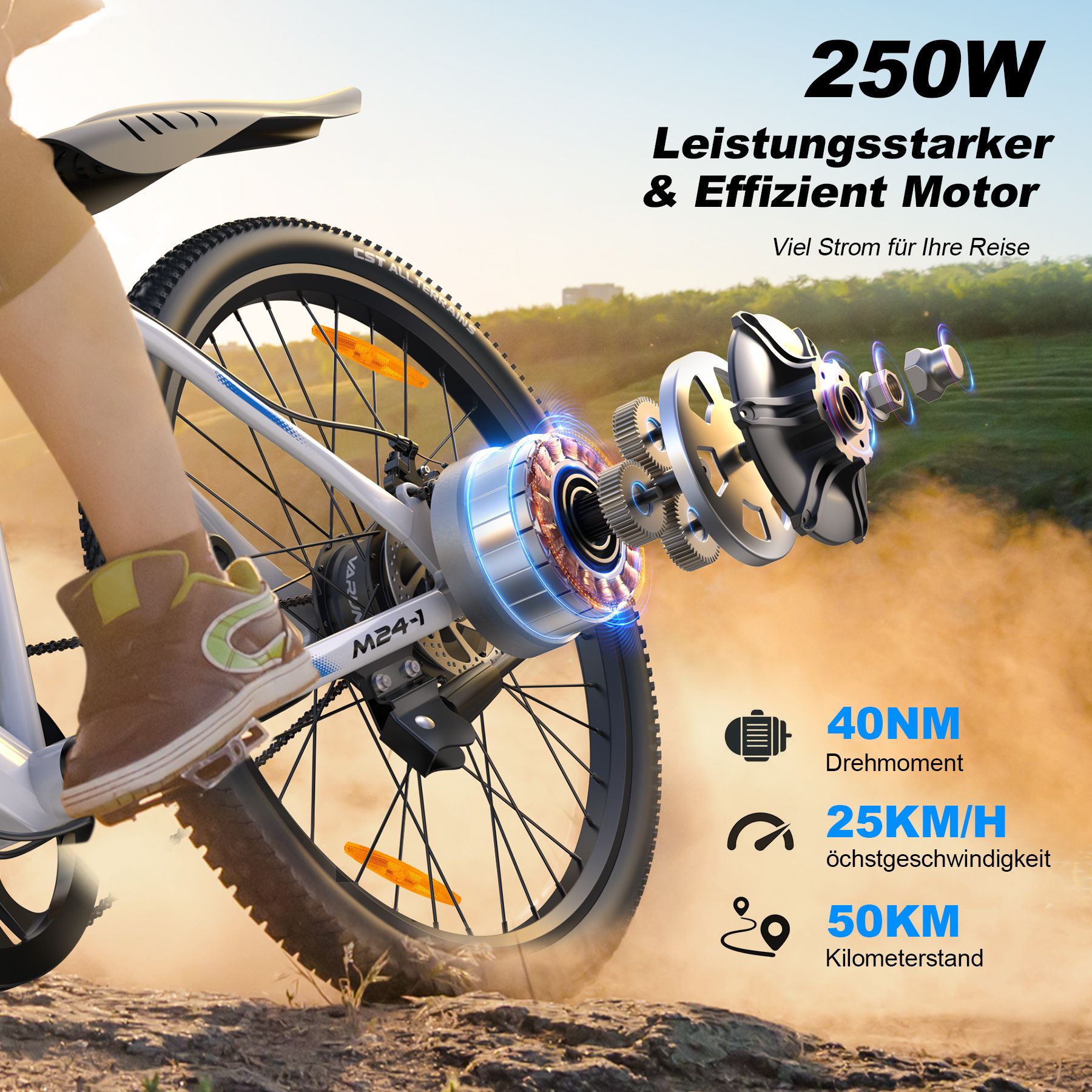 E-bike motor. 250W motor. 40NM koppel, 25KM/H max snelheid, 50KM bereik. Tandwielen, band.