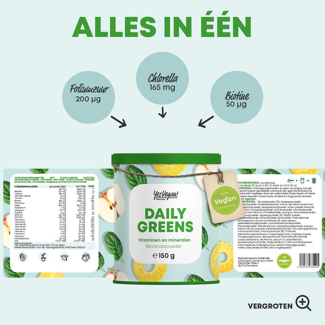 Schema met ingrediënten van Daily Greens Superfood poeder: Groene Superfoods, Plantaardige eiwitten, Bitterstoffen, Paddenstoelen, Algen, Multivitamine.