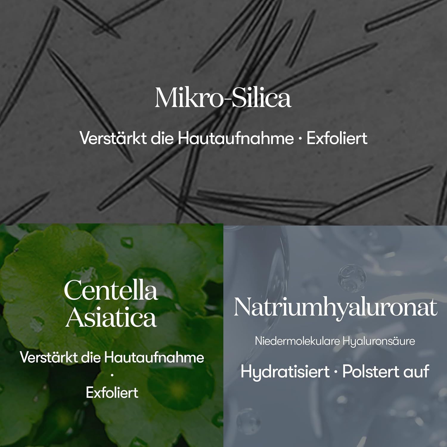 Graphique avec texte : Mikro-Silica, Centella Asiatica, Natriumhyaluronat. Textes décrivant les ingrédients et leurs effets.