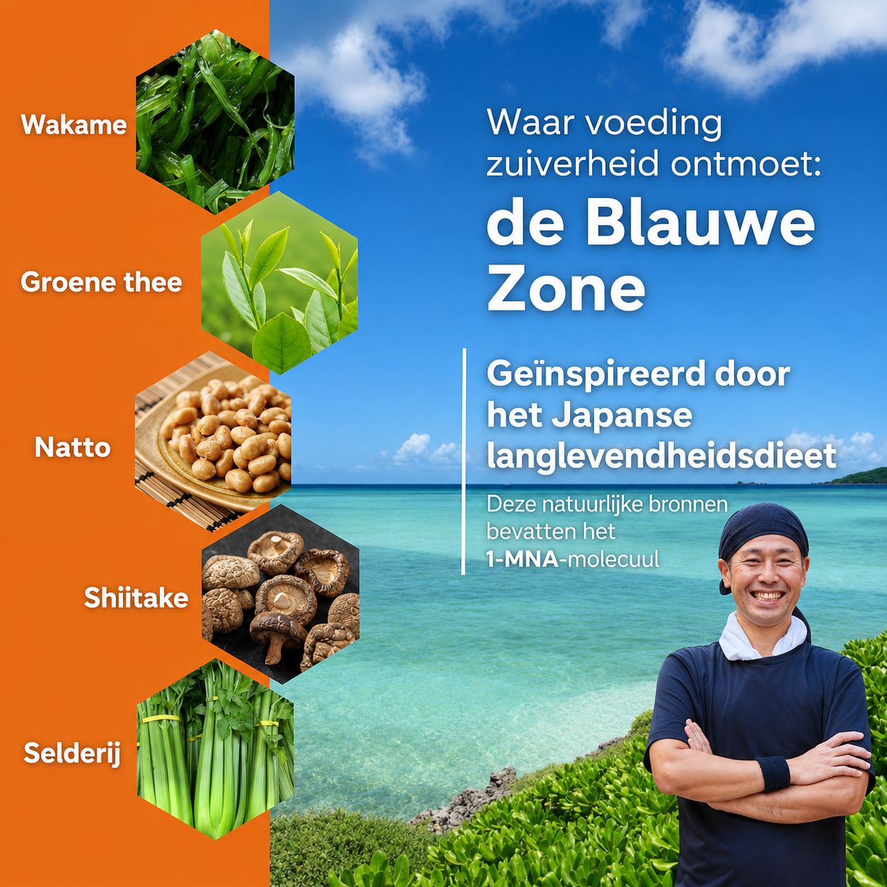 Vijf voedingsmiddelen: Wakame, groene theebladeren, Natto, Shiitake-paddenstoelen en selderij, tegen een achtergrond van zee en lucht.