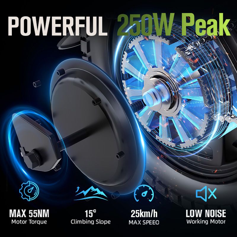 Moteur de vélo électrique avec 250W Peak. Caractéristiques: Couple moteur max. 55NM, pente 15°, vitesse max. 25km/h, faible bruit.