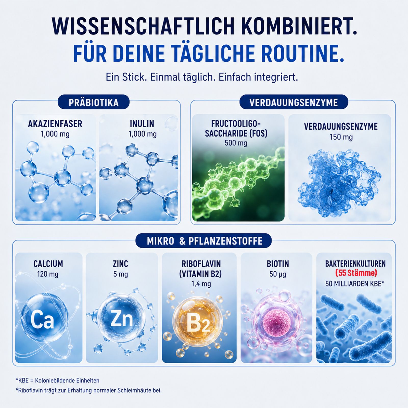 Wetenschappelijk gecombineerd: Acaciabasisvezel, inuline, FOS, spijsverteringsenzymen, calcium, zink, riboflavine, biotine.