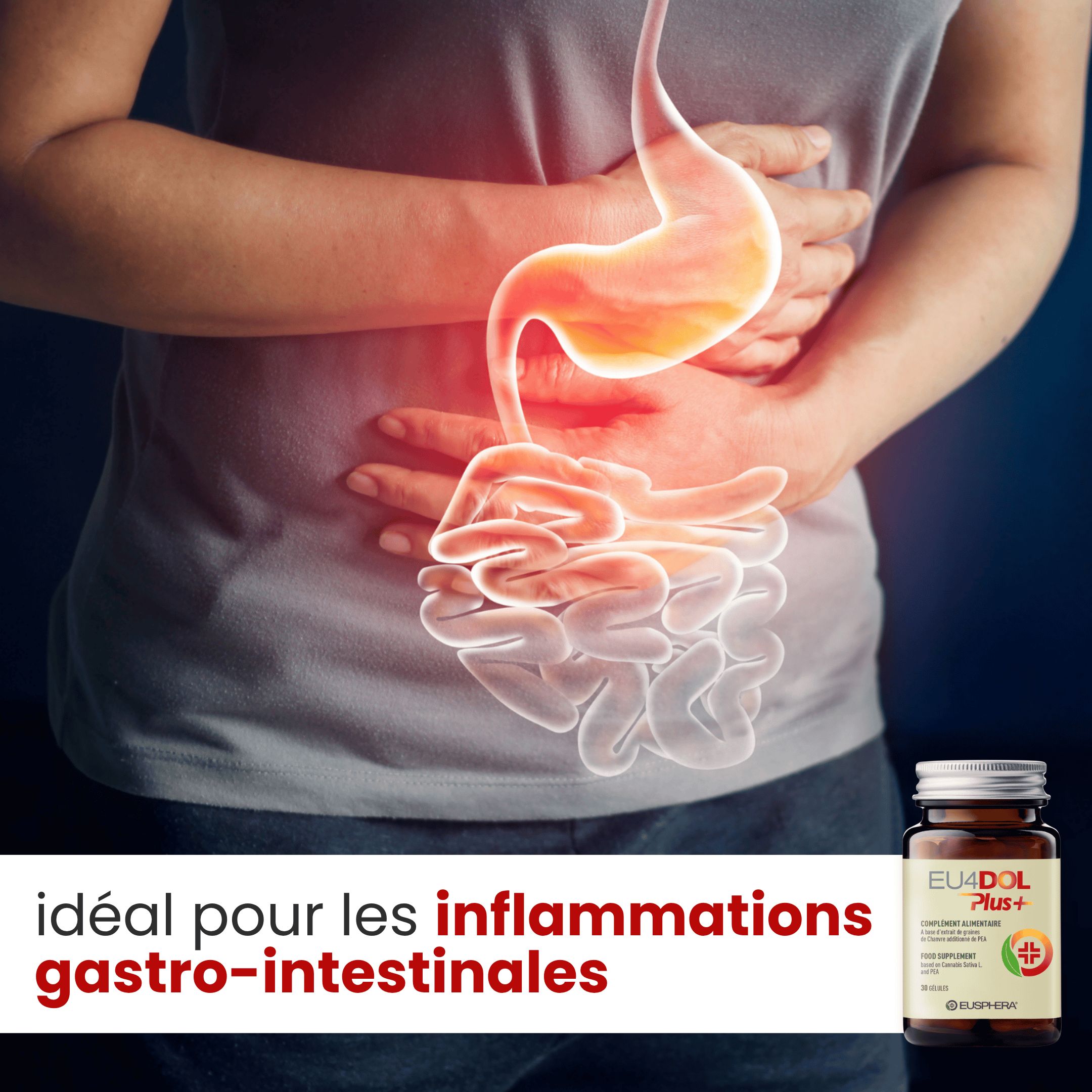 Complément alimentaire Boswelia pour les os et les articulations | Eusphera - EU4DOL PLUS