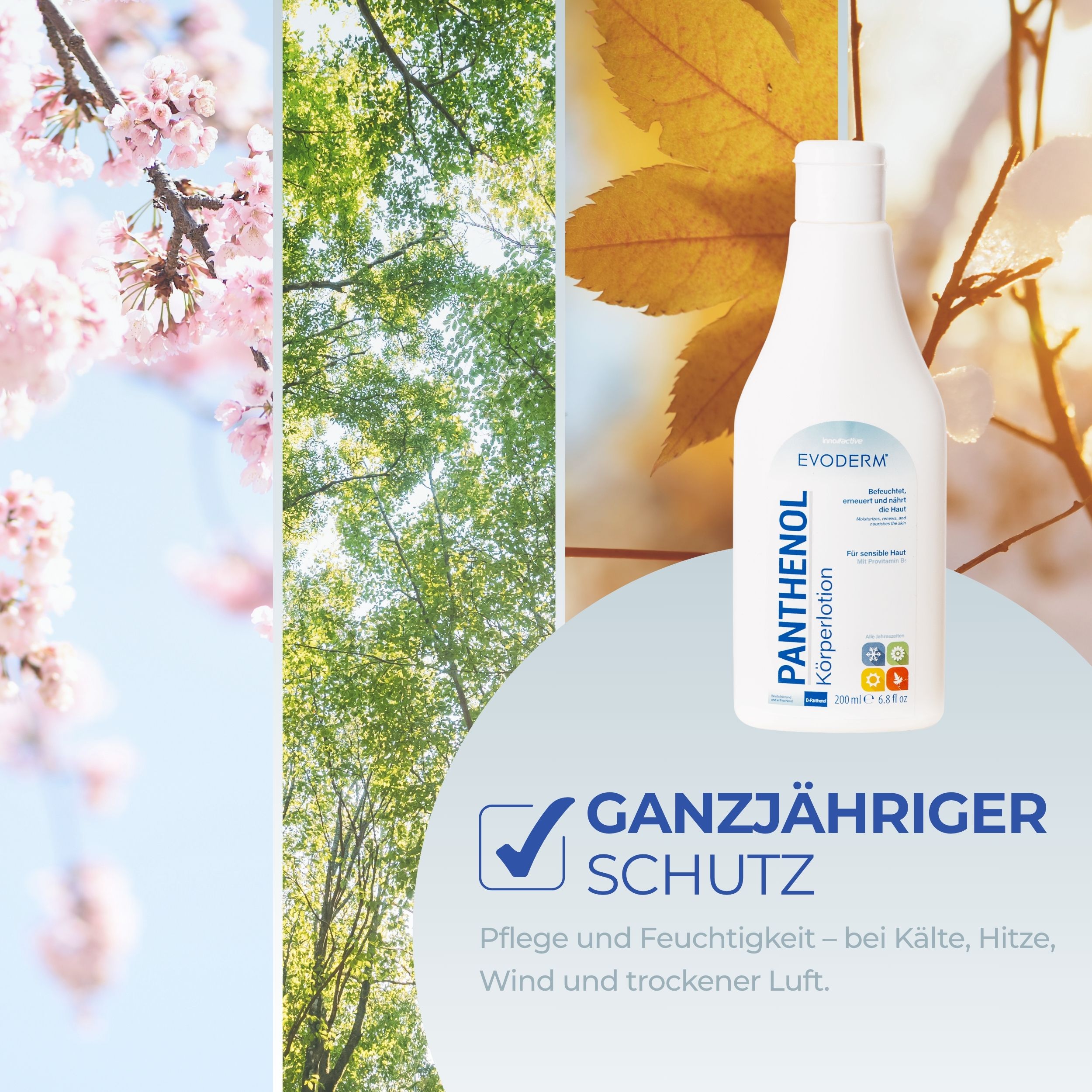 EVODERM Panthenol lichaamslotion. Fles voor natuurlandschap. Tekst: Het hele jaar door bescherming. Verzorging en hydratatie.