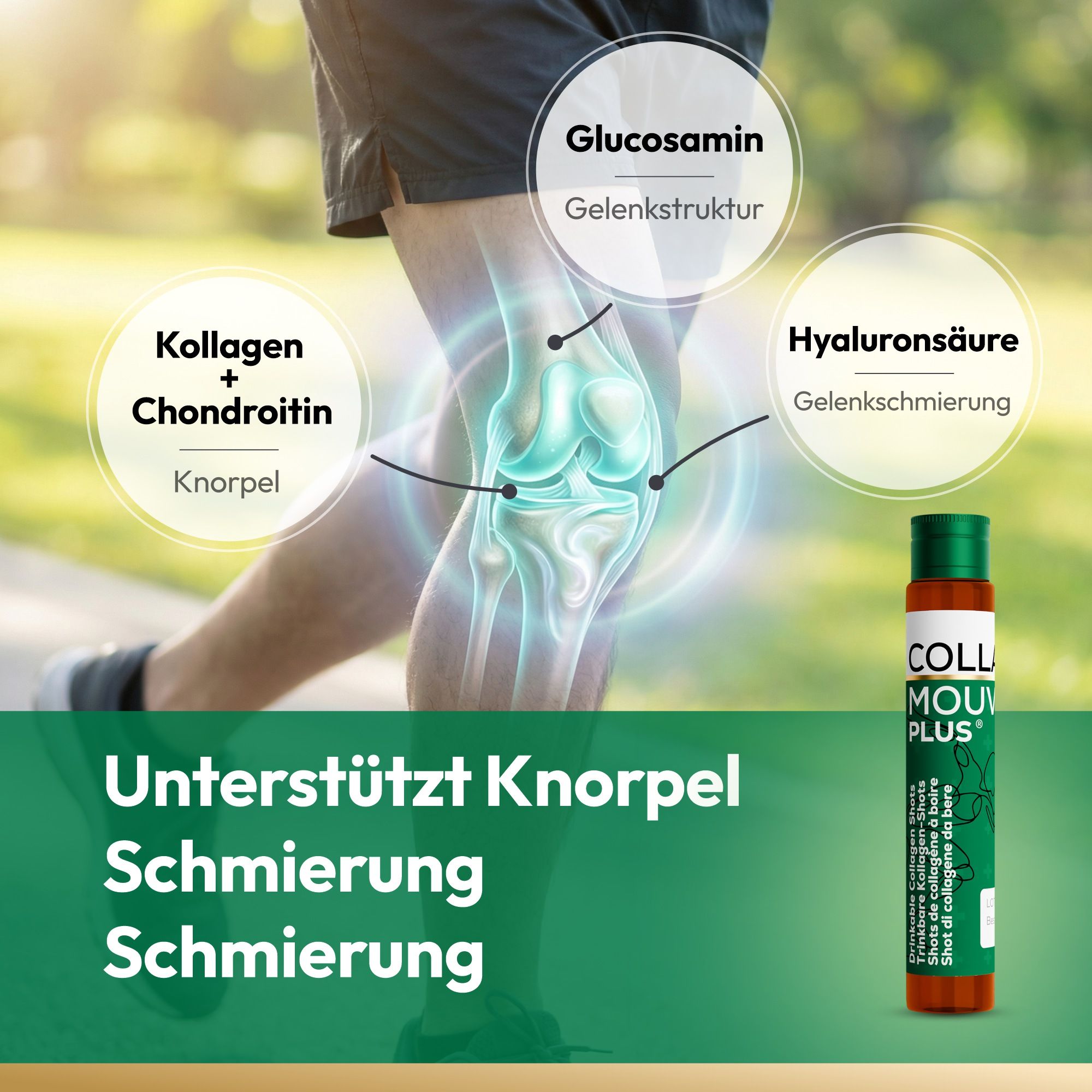 Grafische weergave van gewrichtsondersteuning door glucosamine, hyaluronzuur, collageen en chondroïtine.