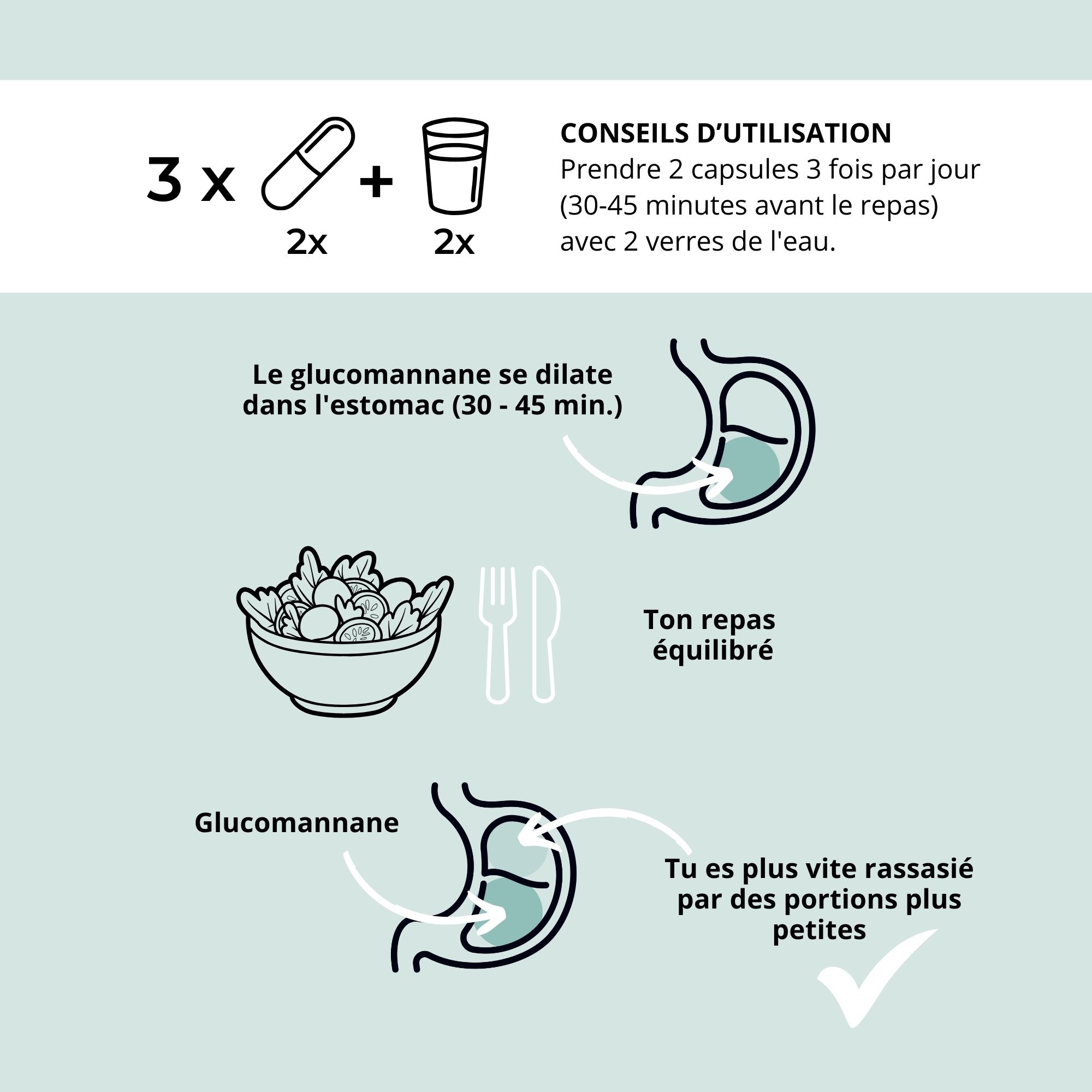 Conseils d'utilisation. 3x2 gélules avec 2 verres d'eau. Illustrations de l'effet dans l'estomac.