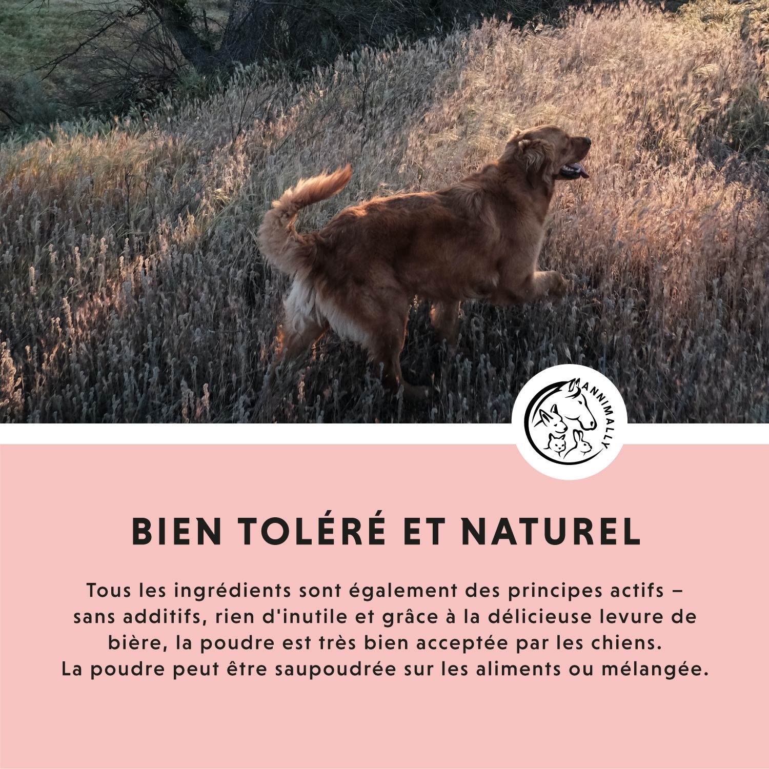 Texte sur fond rose. Texte : Bien toléré et naturel. Tous les ingrédients sont actifs.