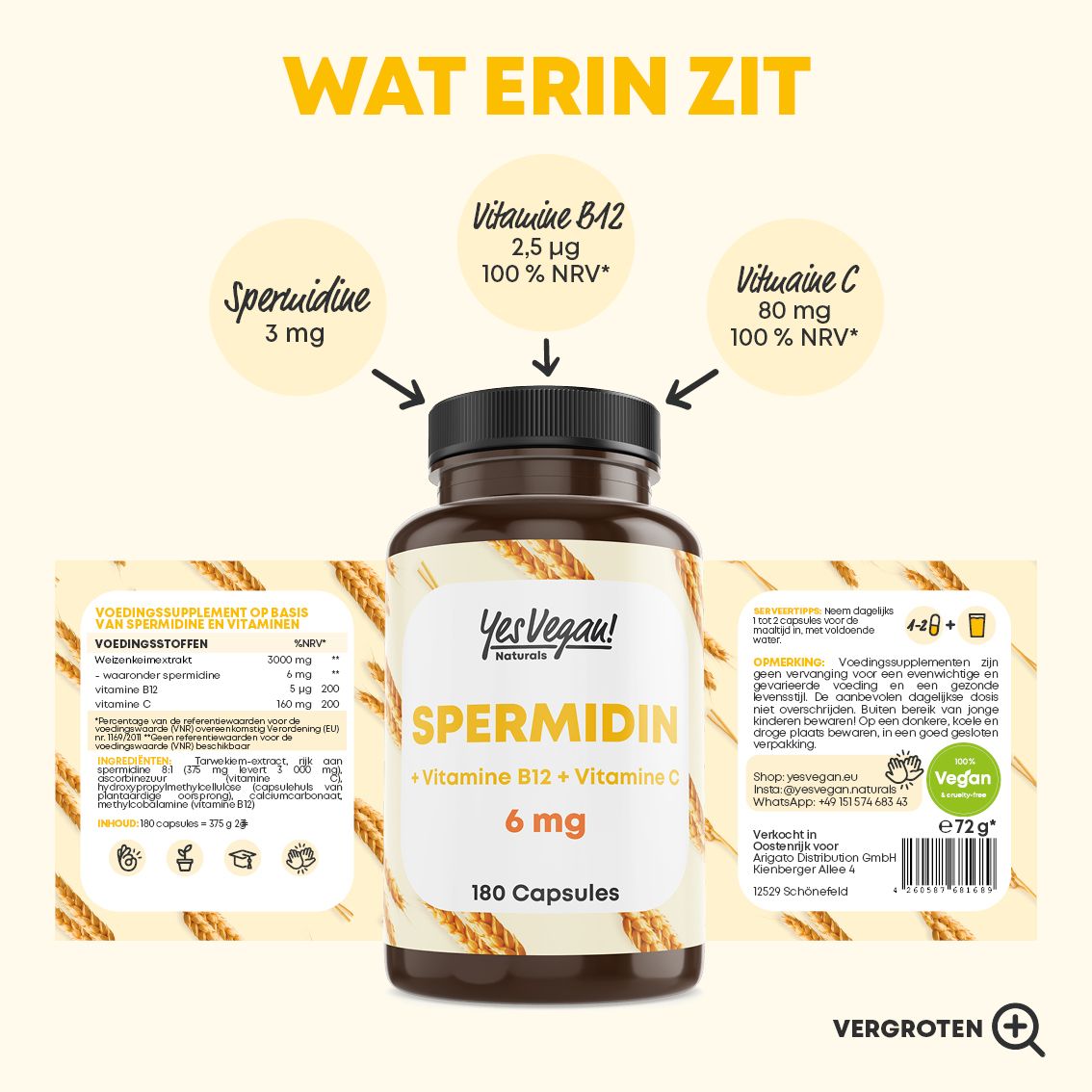 Afbeelding met capsule en tekst die het gebruiksgemak van spermidine capsules uitlegt. 180 Capsules.