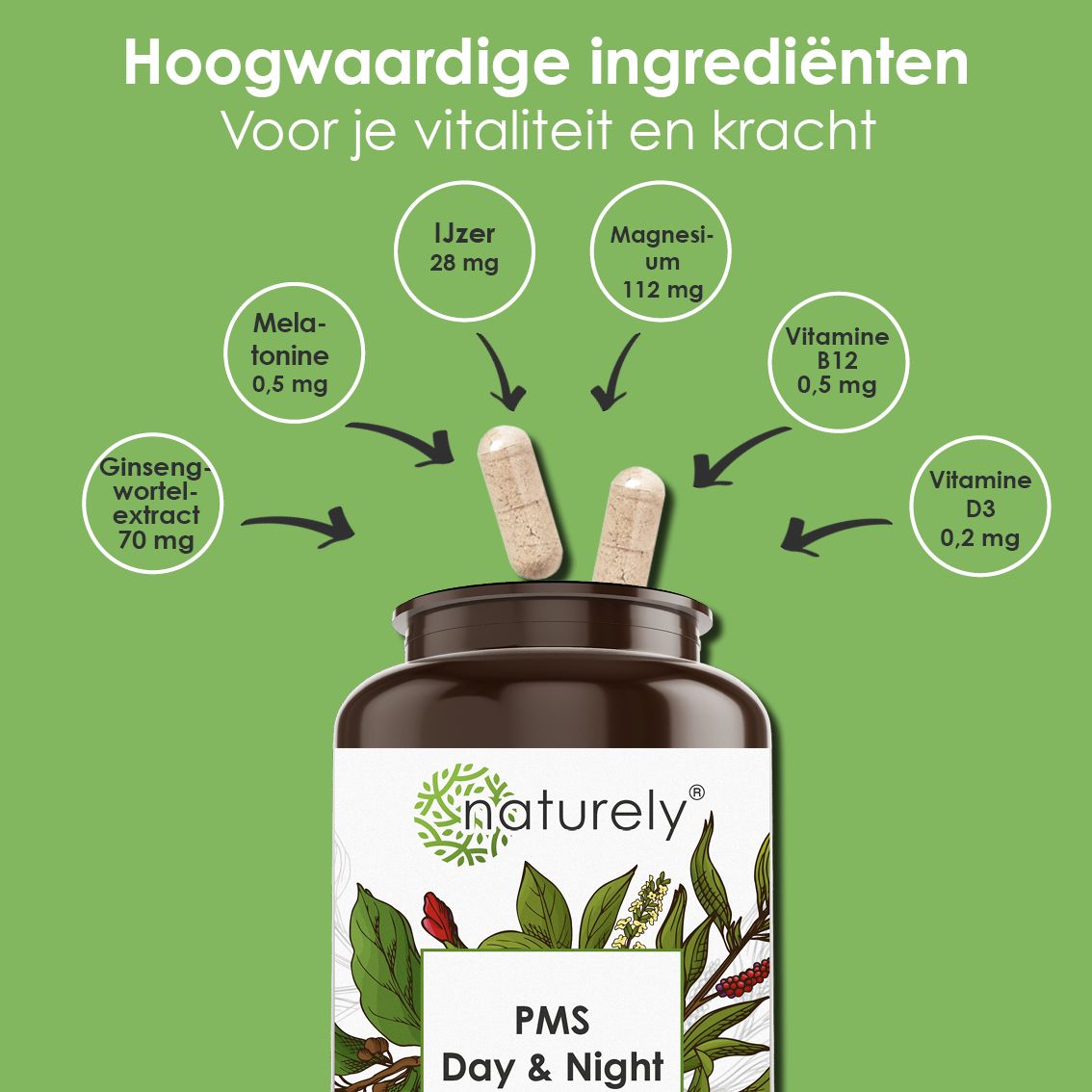 Fles met twee capsules, omringd door cirkels die ingrediënten zoals ijzer en magnesium tonen.