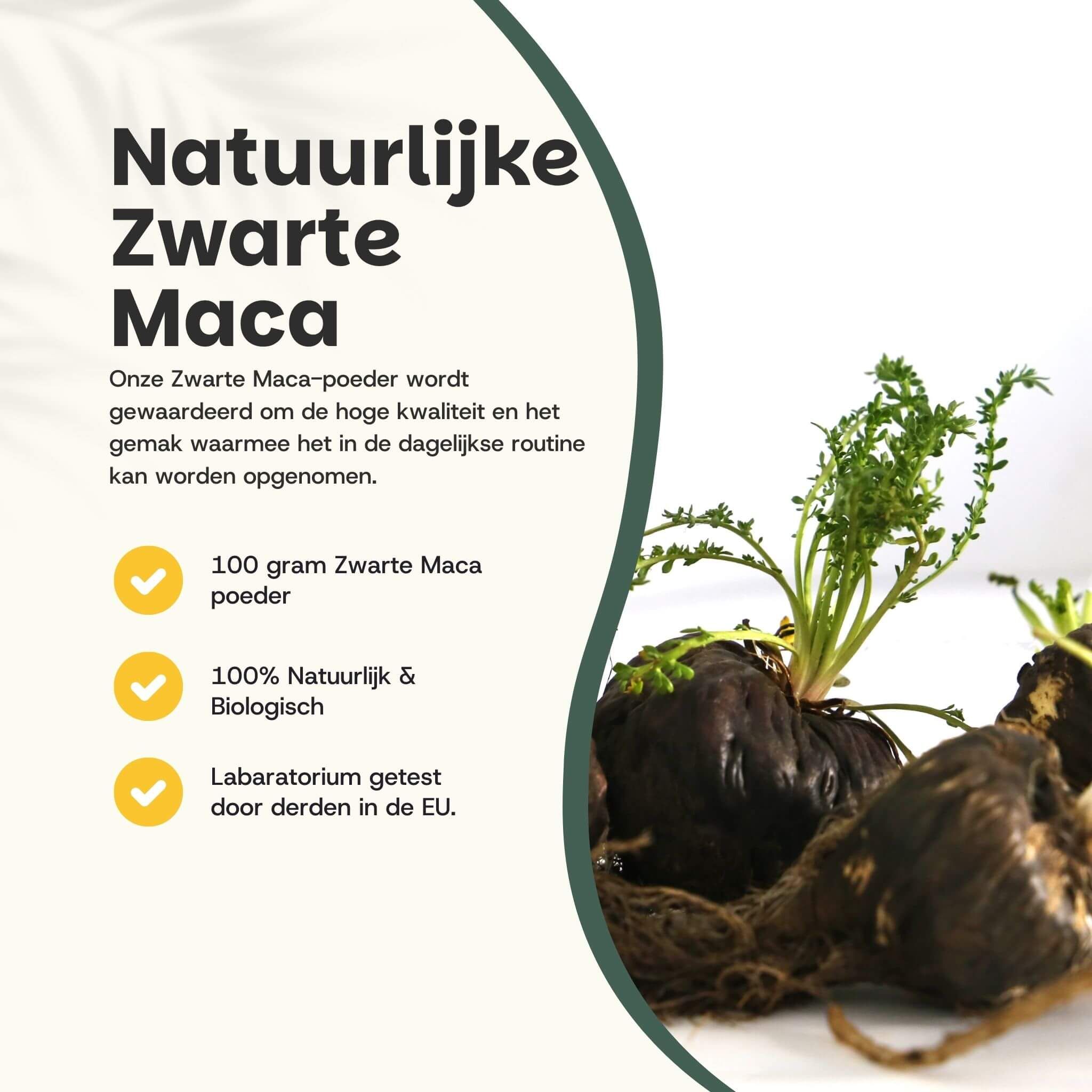 Grafiek met tekst: Natuurlijke Zwarte Maca. 100g poeder, 100% natuurlijk & biologisch, getest in EU.