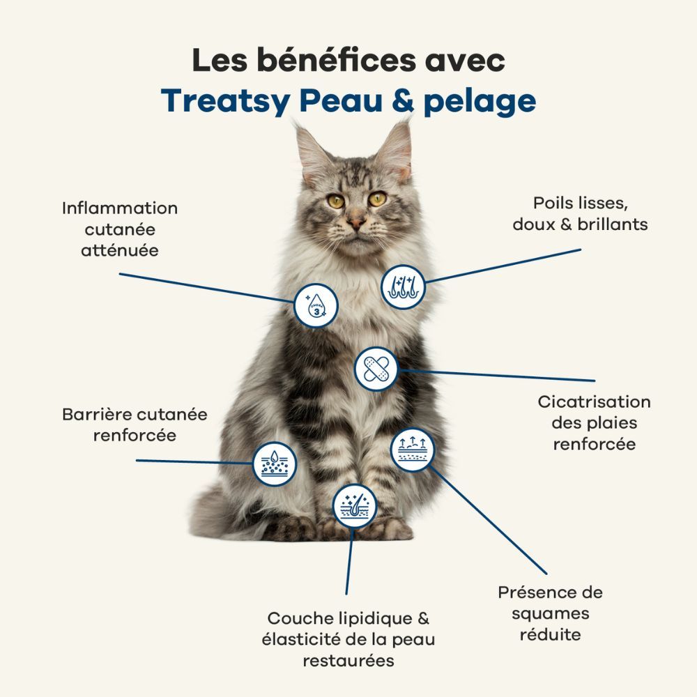 Chat avec des marques. Texte : Avantages de Treatsy Skin & Coat. Inflammation cutanée atténuée, poils lisses, etc.