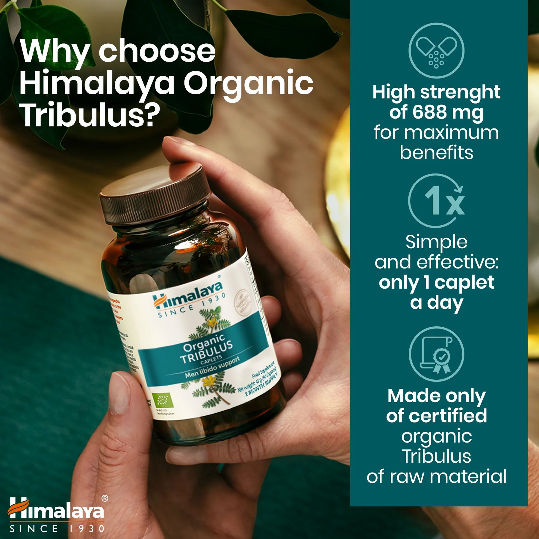 Hand die een fles Himalaya Organic Tribulus vasthoudt. Tekst: Hoge sterkte, 1 capsule per dag, gecertificeerde biologische grondstoffen.