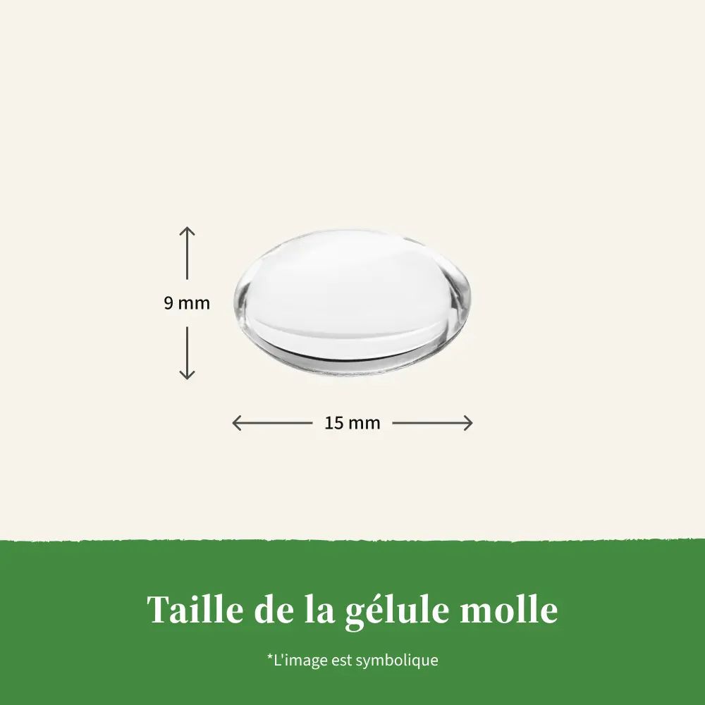 Gélule, 15 mm de long, 9 mm de large. L'image est symbolique.