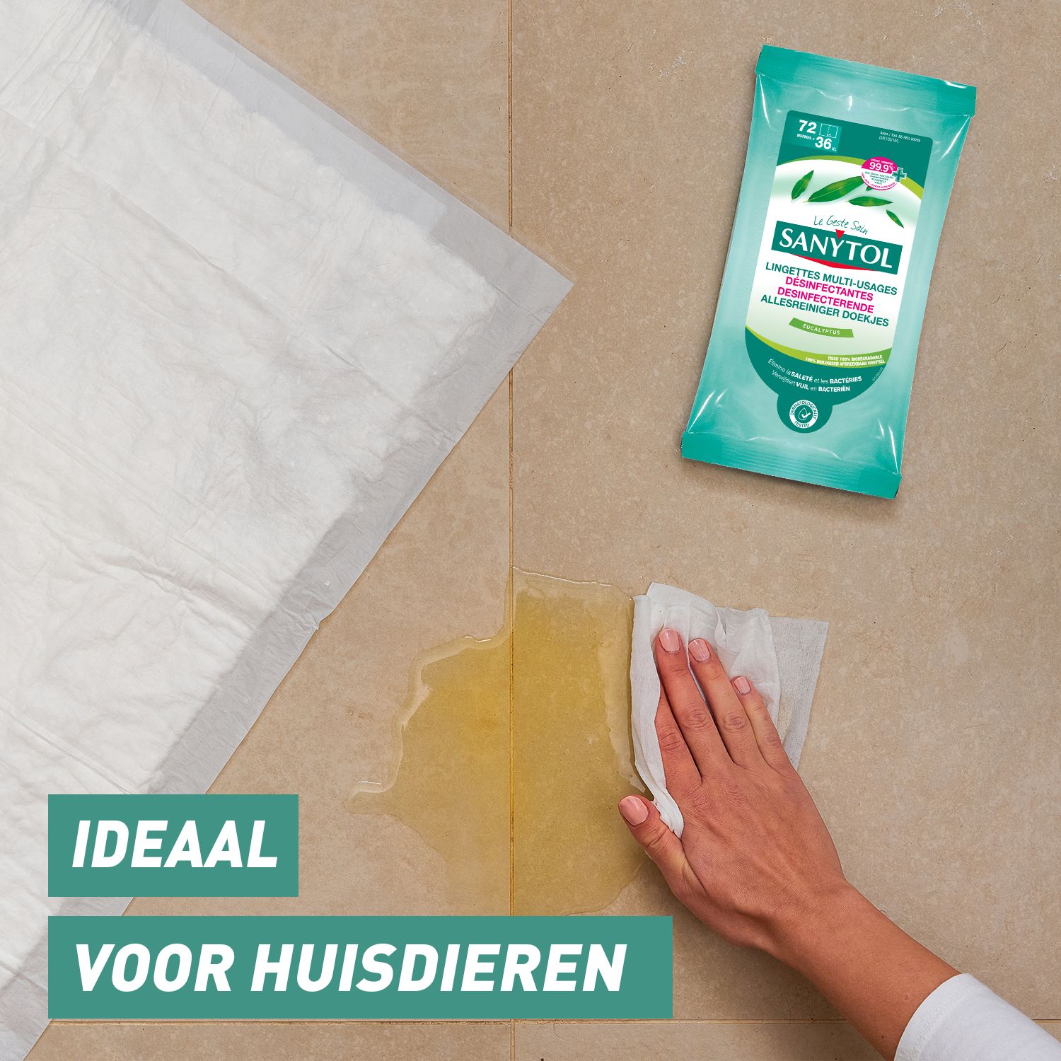 SANYTOL Desinfecterende brillendoekjes x 120 - 4 stuks