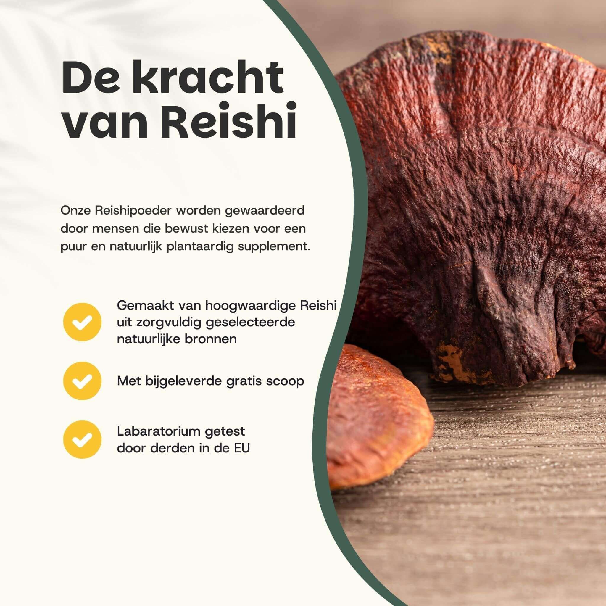 Tekst: De kracht van Reishi. Tekst en logo's. Reishi-paddenstoel op de achtergrond.