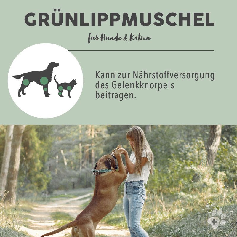 PAWS&PATCH GROENLIPMOSSEL POEDER VOOR HONDEN, KATTEN & PAARDEN