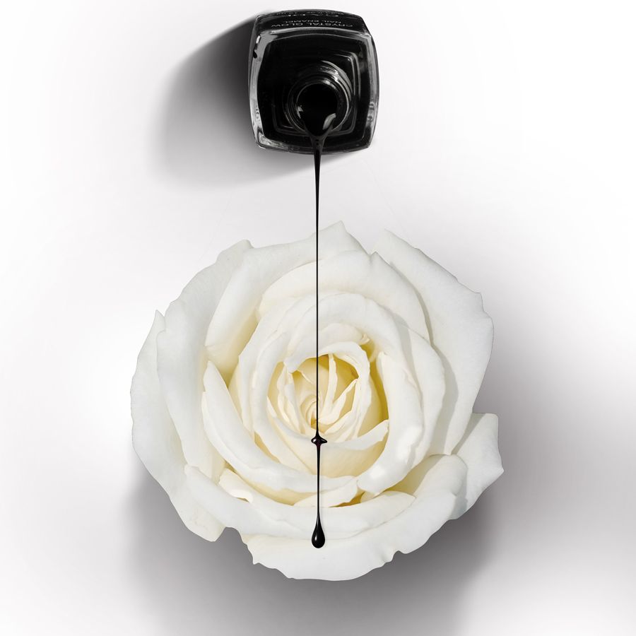 Du vernis à ongles noir coule d'un flacon sur une rose blanche. Le flacon est vu d'en haut.
