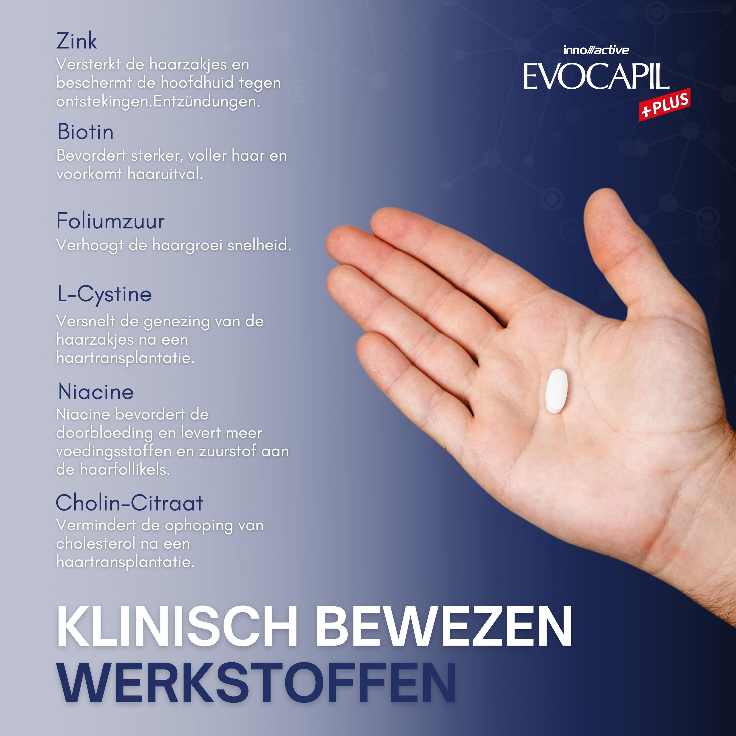 Hand met tablet. Ingrediënten: Zink, Biotine, Foliumzuur, L-Cysteine, Niacine, Choline. Blauwe grafiek.