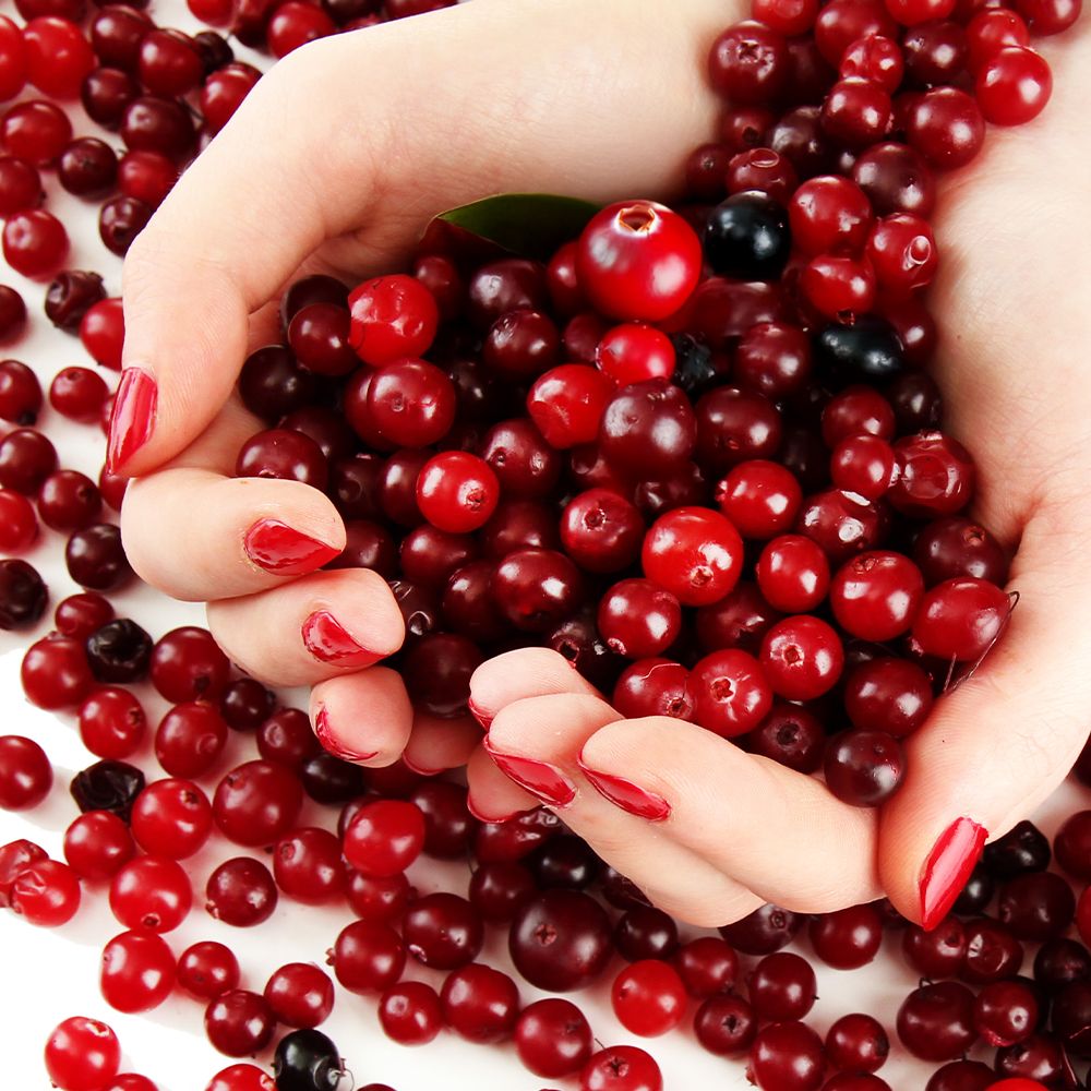 Handen houden een overvloed aan rode cranberries vast. Close-up, heldere belichting.