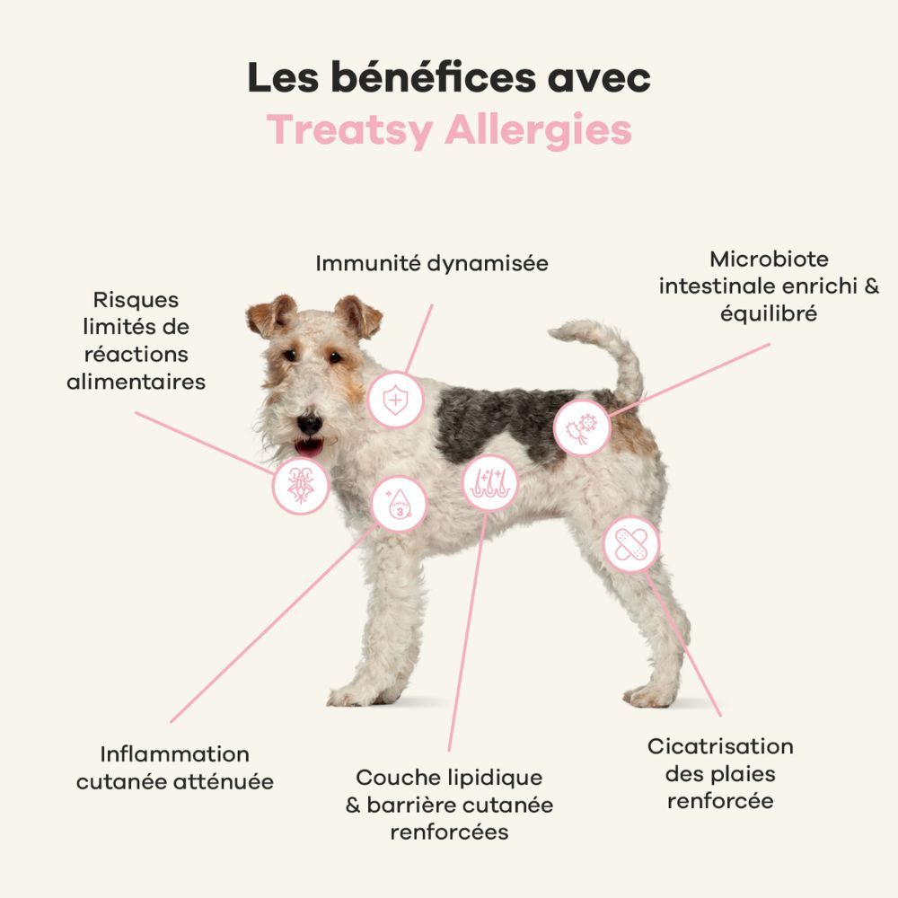 Chien avec texte. Texte : "96% des chiens adorent Treatsy !".