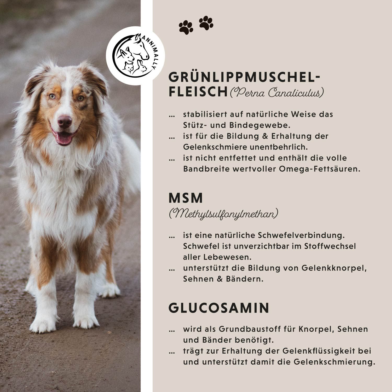 Annimally Gewricht Tabletten