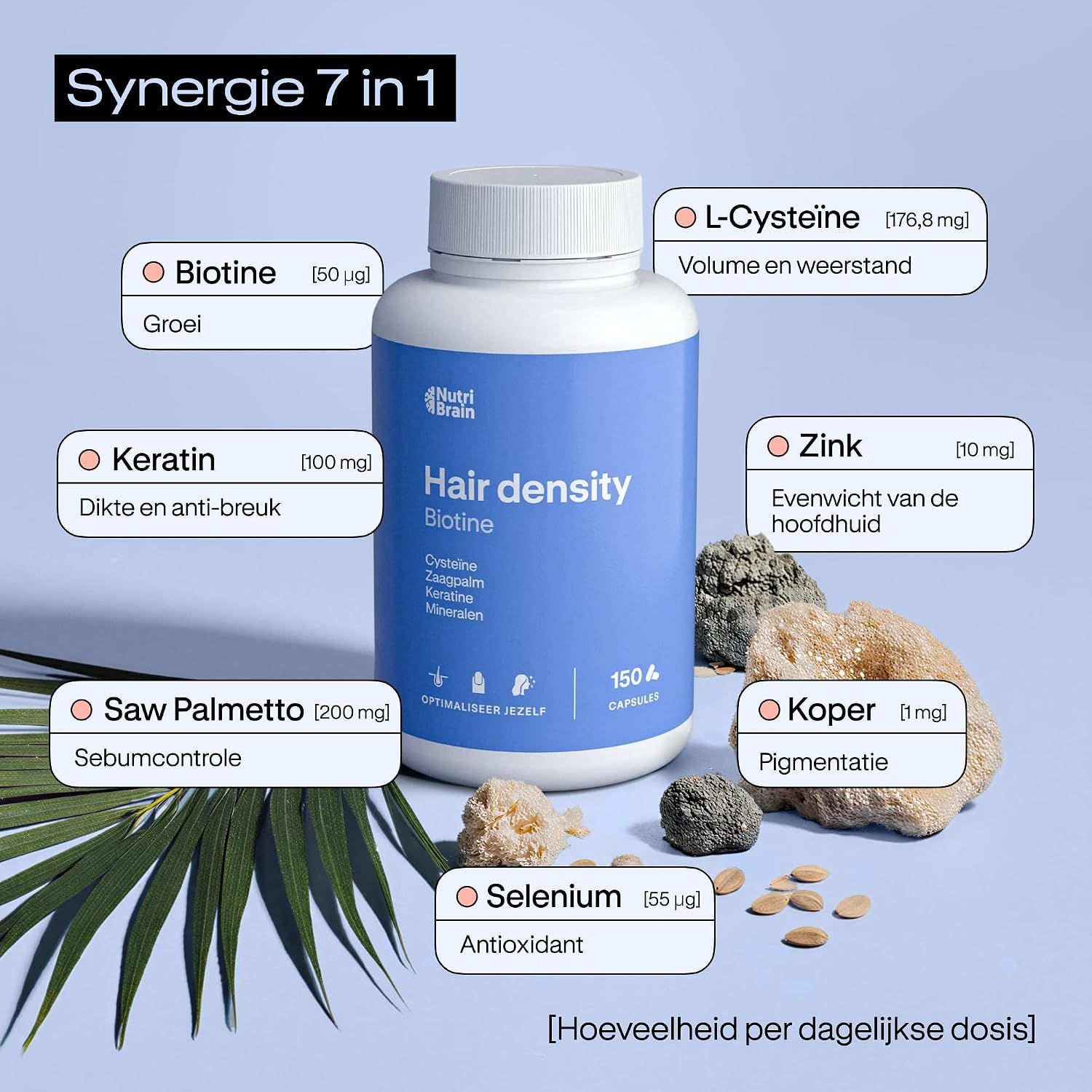 Fles met Nutri Brain Hair Density capsules. Bevat biotine, keratine, zink, koper, selenium, L-cysteïne en zaagpalm.