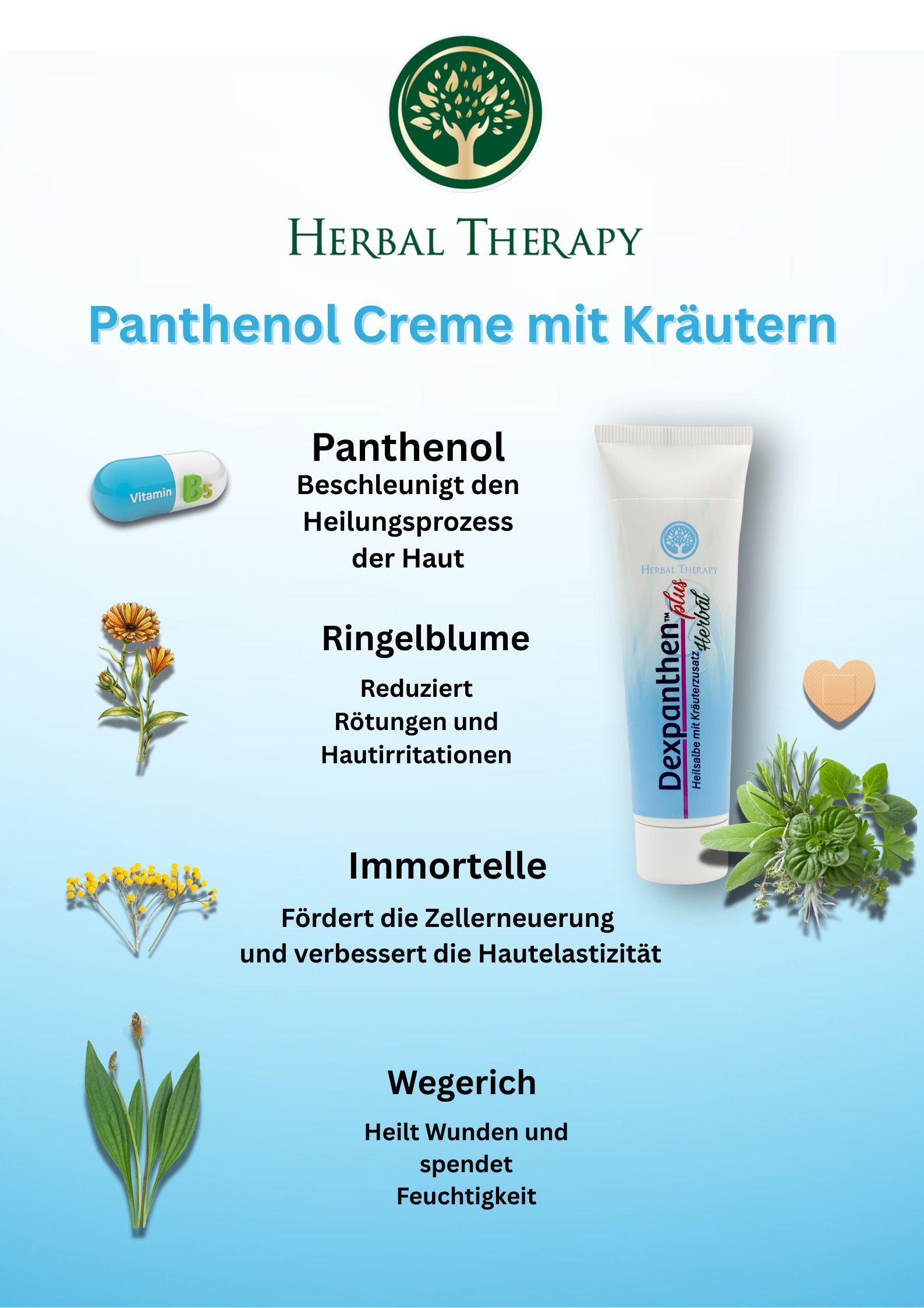 Reclameposter met crèmetube. Logo: boom met bladeren. Tekst: Panthenol Crème met kruiden. Illustraties van kruiden en ingrediënten.