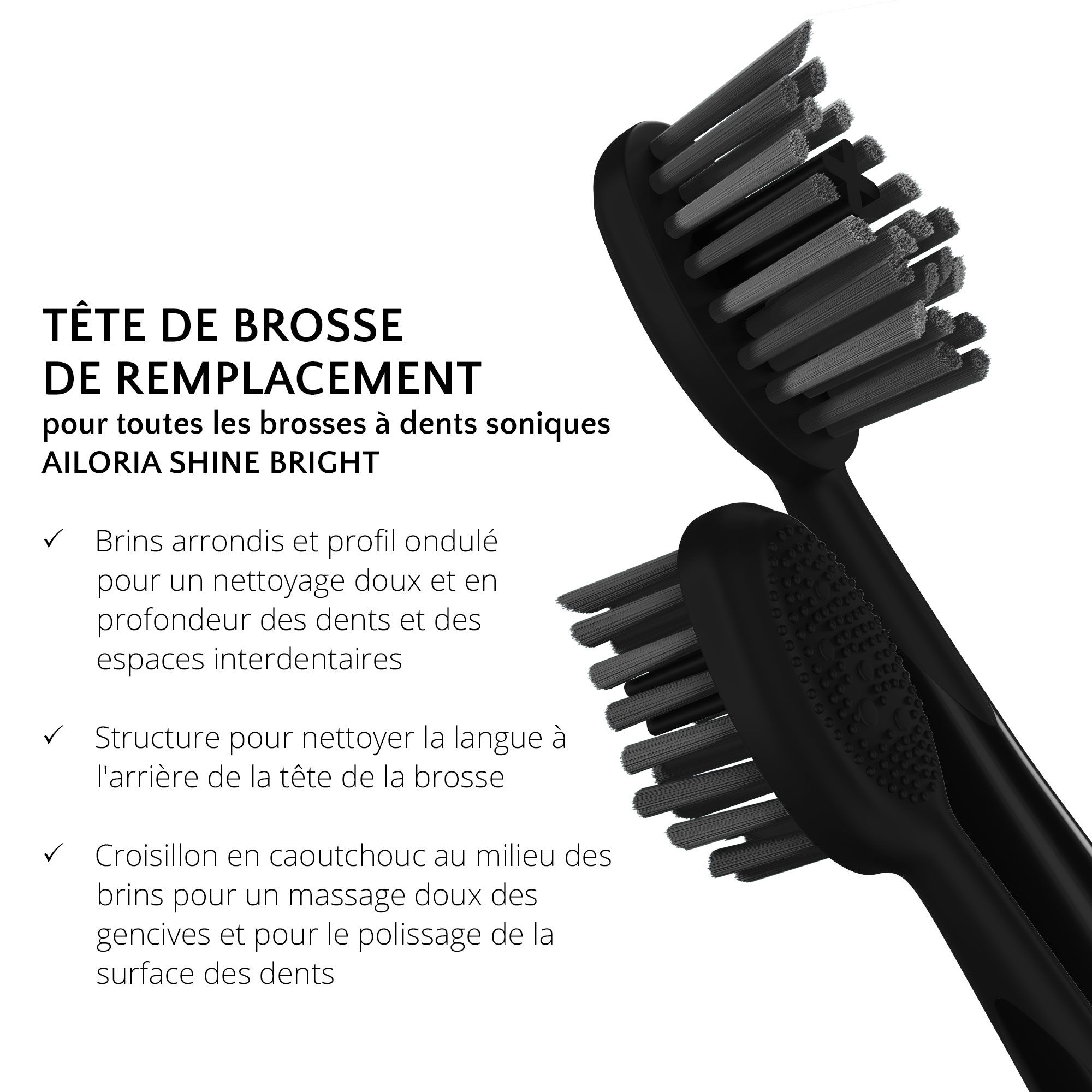 Deux têtes de brosse noires avec texte. Texte: TÊTE DE BROSSE DE REMPLACEMENT, AILORIA SHINE BRIGHT.