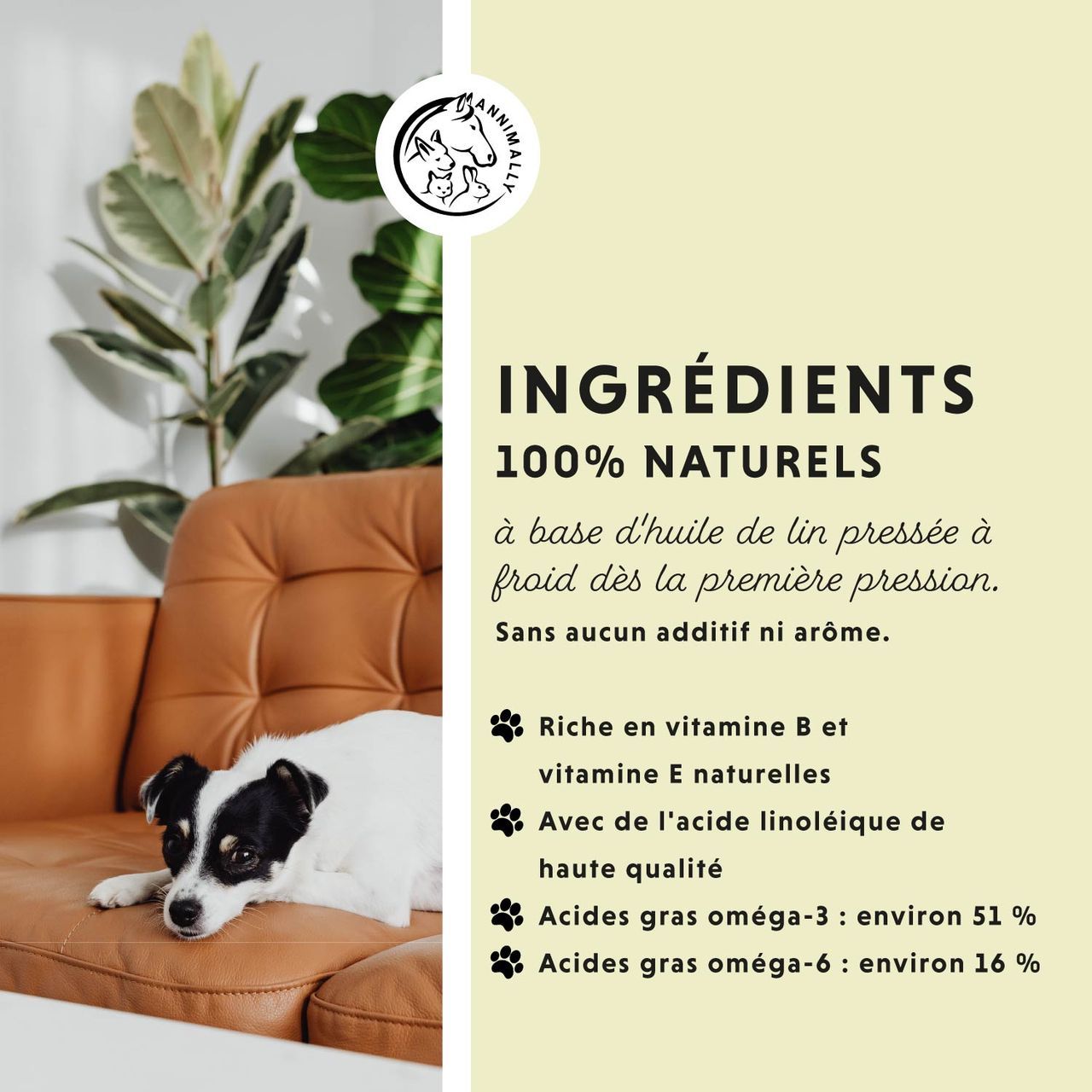 Étiquette avec nom du produit et logo. Contient de l'huile 100% naturelle. Pour chiens et chats. 500 ml.