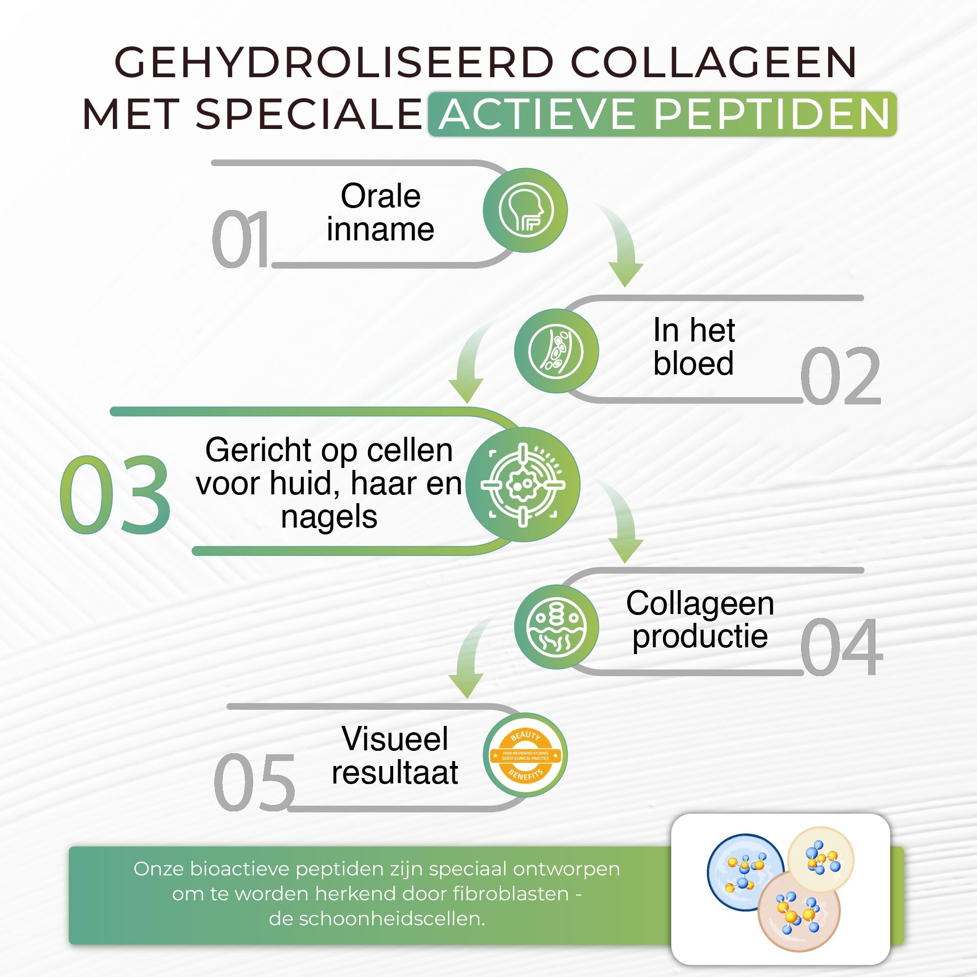 Collavita Beauty Source