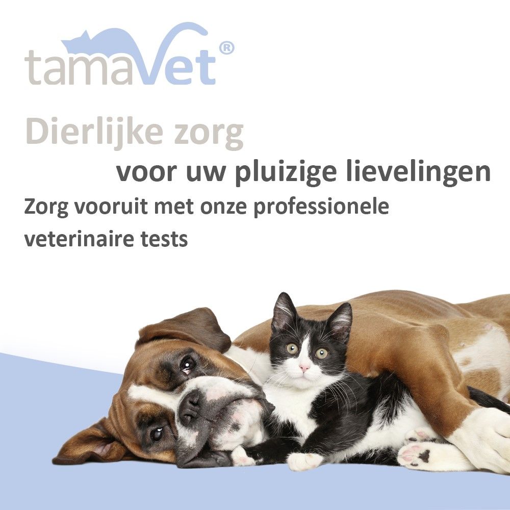 Hond en kat liggen samen. Tekst: Dierlijke zorg voor uw pluizige lievelingen.