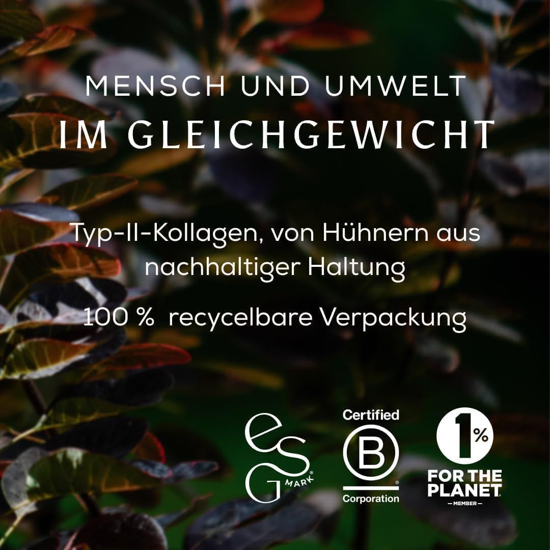 Texte 'Personnes et environnement en équilibre'. Collagène de type II issu de poules élevées durablement. Emballage 100% recyclable. Certifications B Corp, 1% for the Planet.