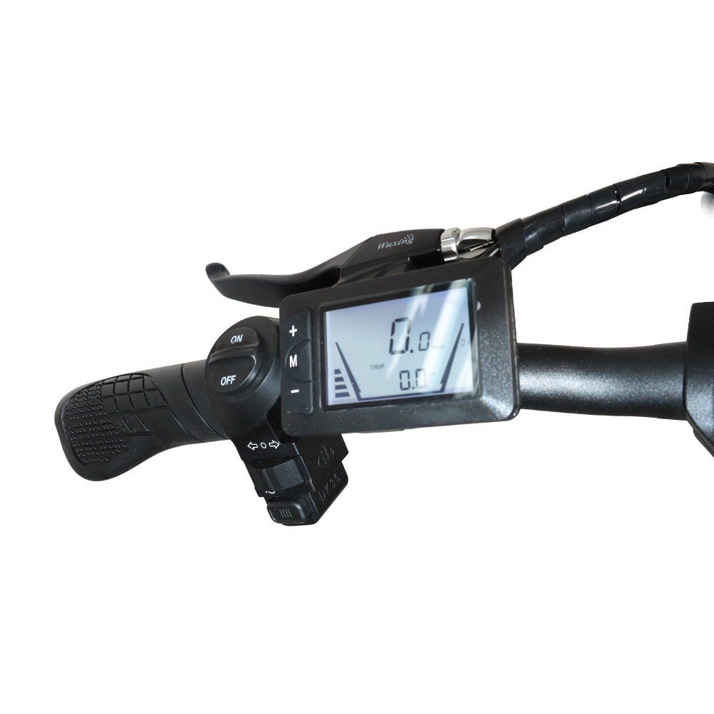 BAOLUJIE DZ2002 Vélo électrique à gros pneus pour adultes, batterie amovible 48 V 16 Ah