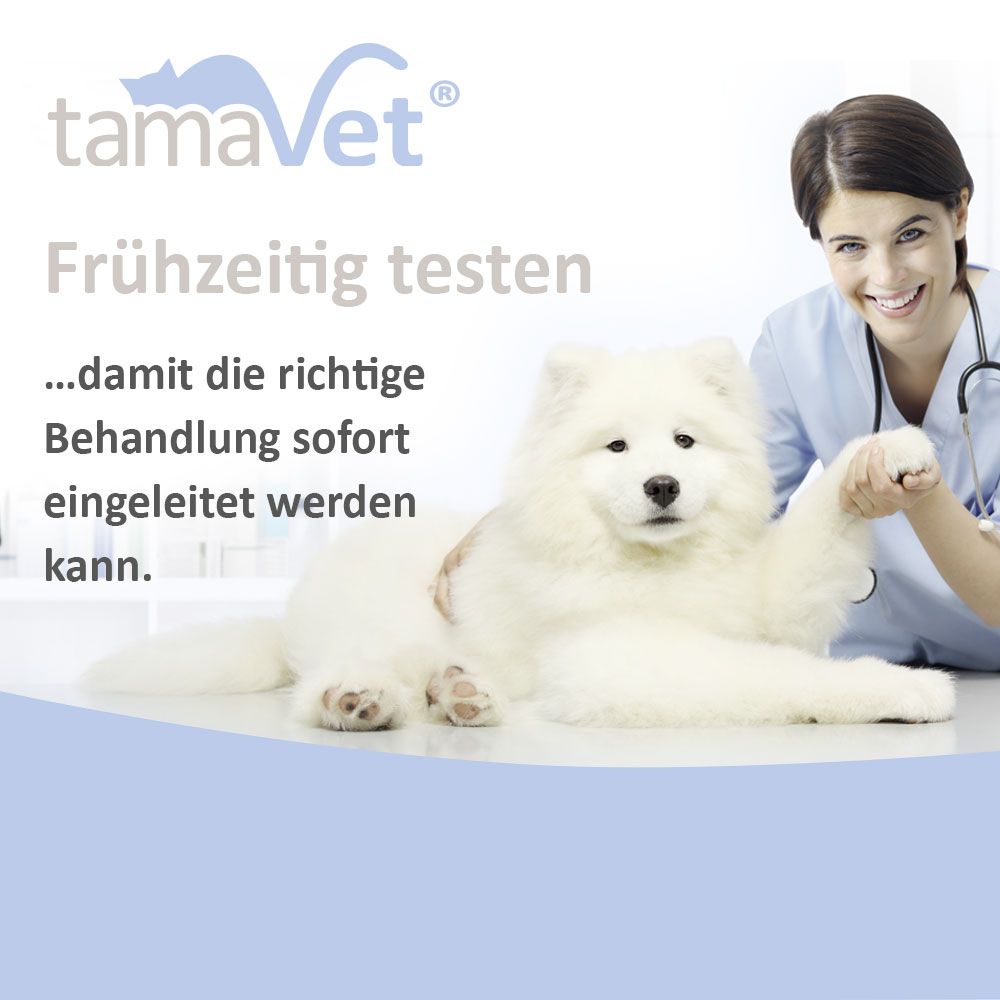 tamaVet Giardien Sneltest voor Honden en Katten