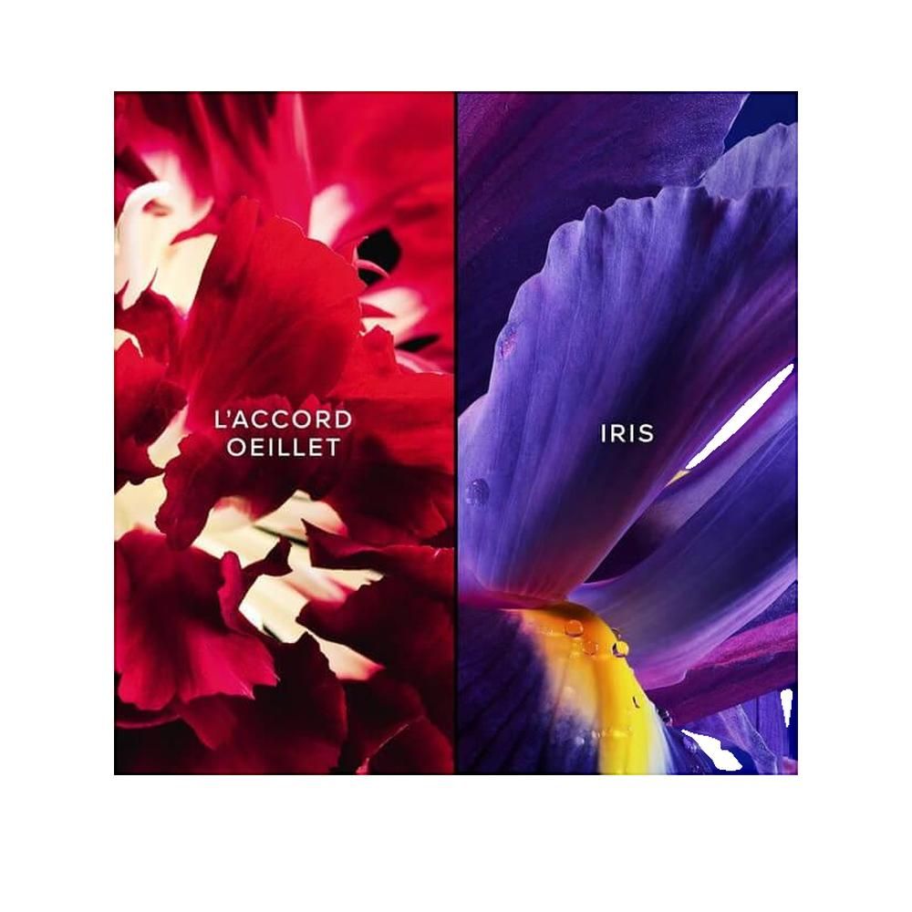 Gesplitste afbeelding: rode bloemblaadjes en paarse irisbloem. Tekst: L'Accord Oeillet, Iris.