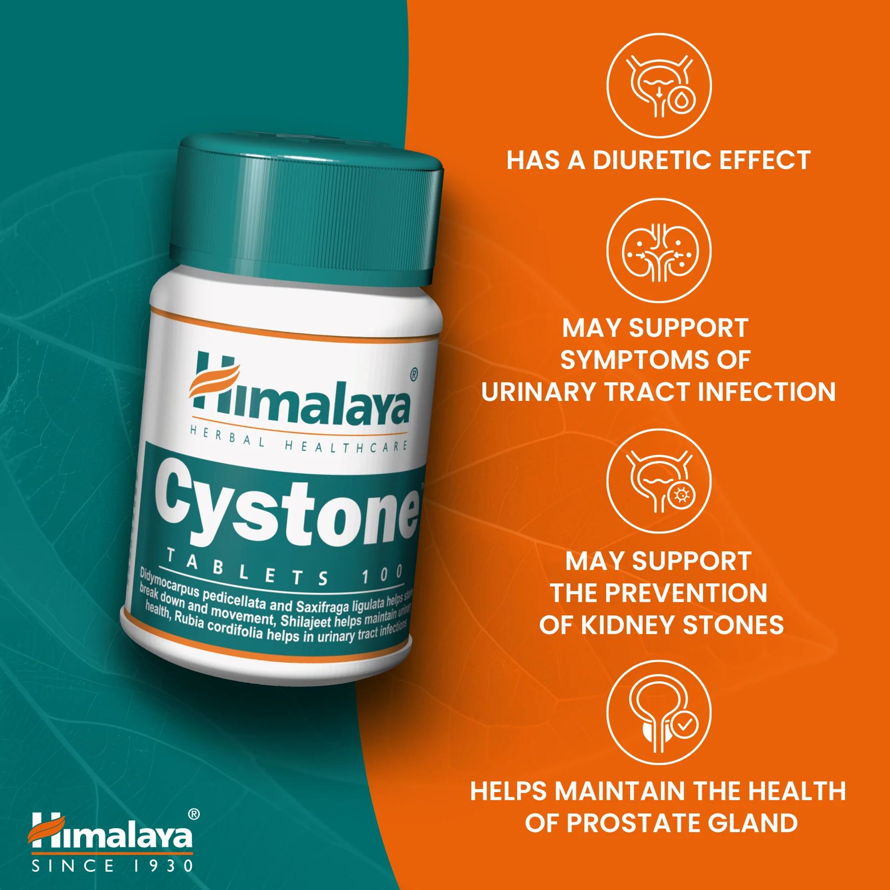 Himalaya Cystone tabletten in een fles. Tekst: Heeft een diuretisch effect. Kan symptomen van urineweginfectie ondersteunen.