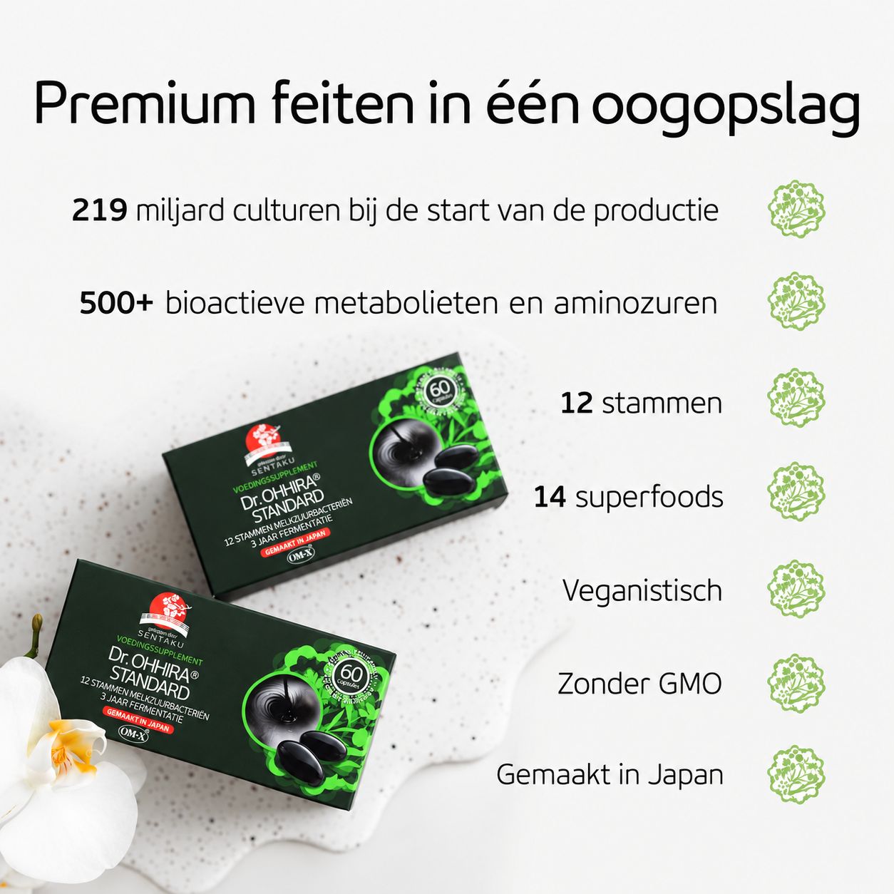 Twee Dr. Ohhira Standard verpakkingen met zwarte capsules en informatie over culturen, metabolieten en superfoods.
