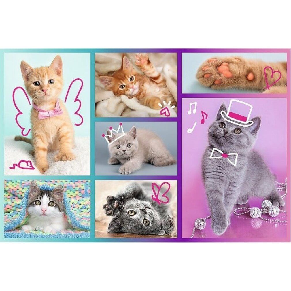 Puzzle avec des chats mignons. Six images de chats, dont un avec des ailes et un avec un chapeau. Fond bleu et violet.