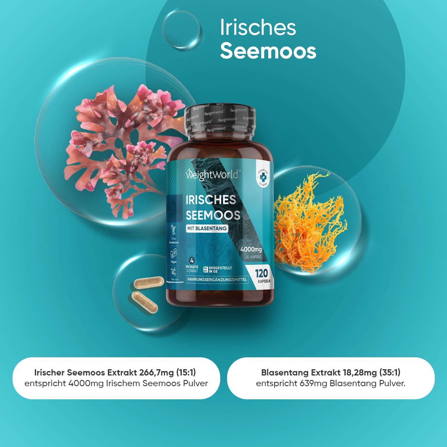 Bruine capsules en een fles WeightWorld Irisches Seemoos Kapseln. Met blaaswier en Iers mos. 120 capsules.