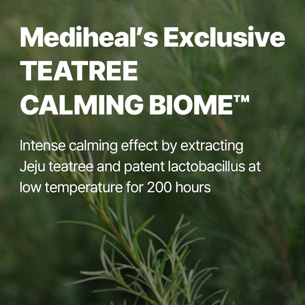 Texte "MEDIHEAL Teatree Calming Biome" sur fond vert avec branche de théier.