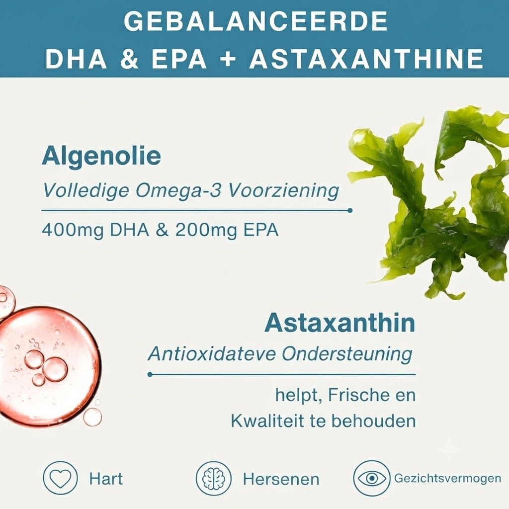 Infographic: Gebalanceerde DHA & EPA + Astaxanthine uit algen.