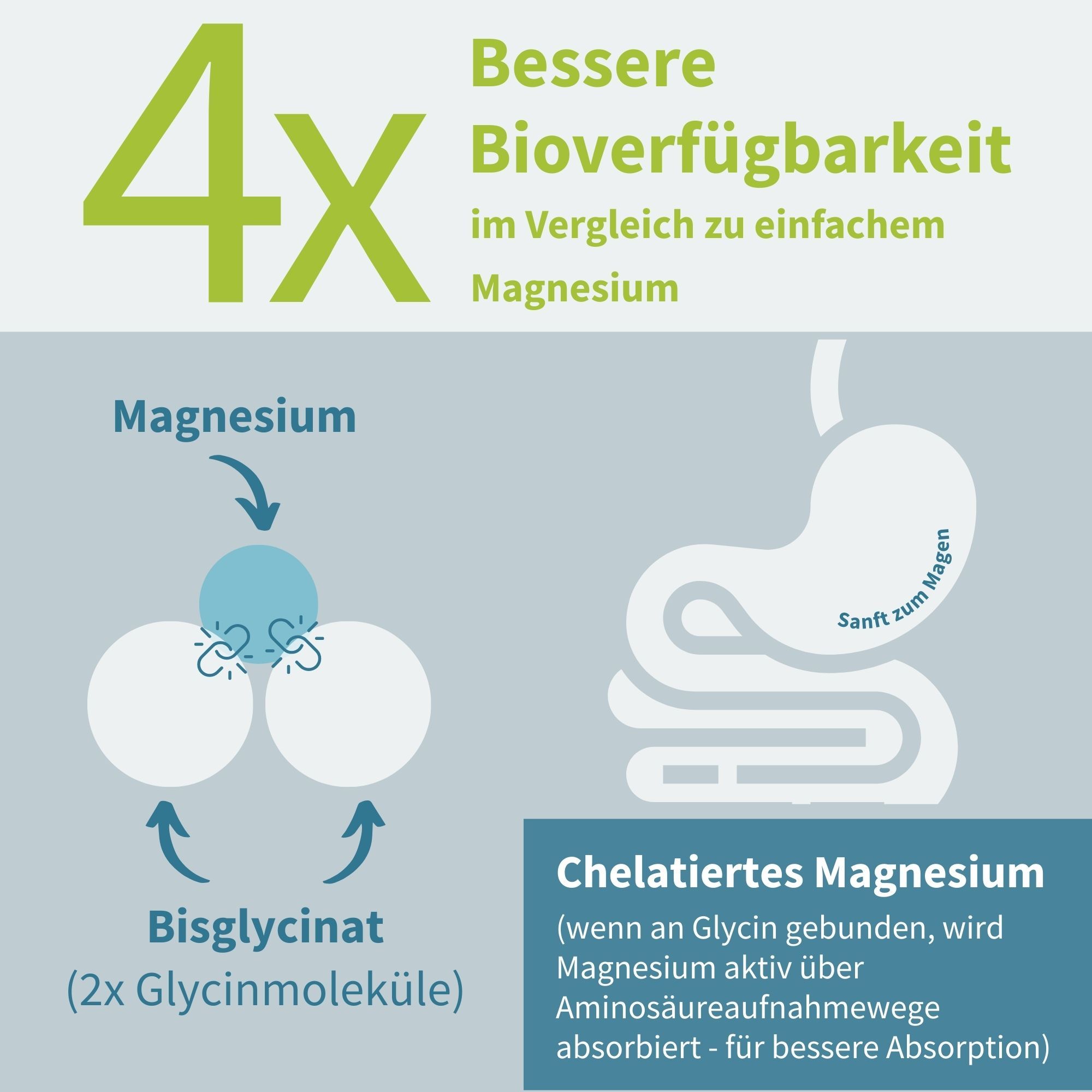 Igennus Magnesium Bisglycinate, Haute Dose et Absorption 4 fois Supérieur, Glycinate, Pur