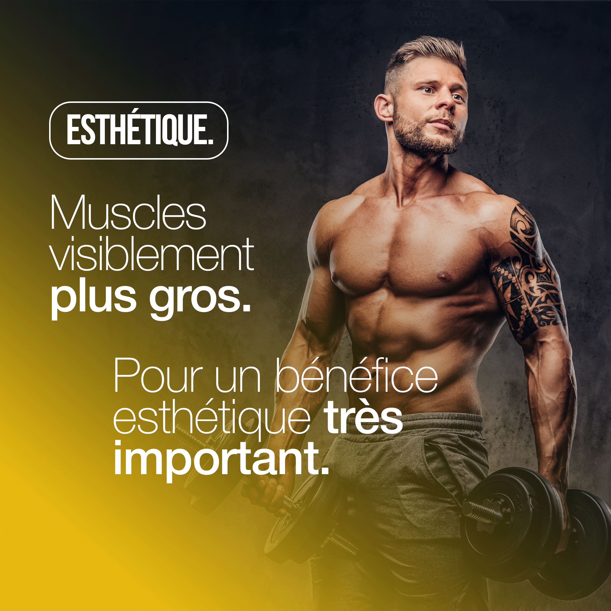 Gespierde man met gewichten. Tekst: Muscles visiblement plus gros. Pour un bénéfice esthétique très important.